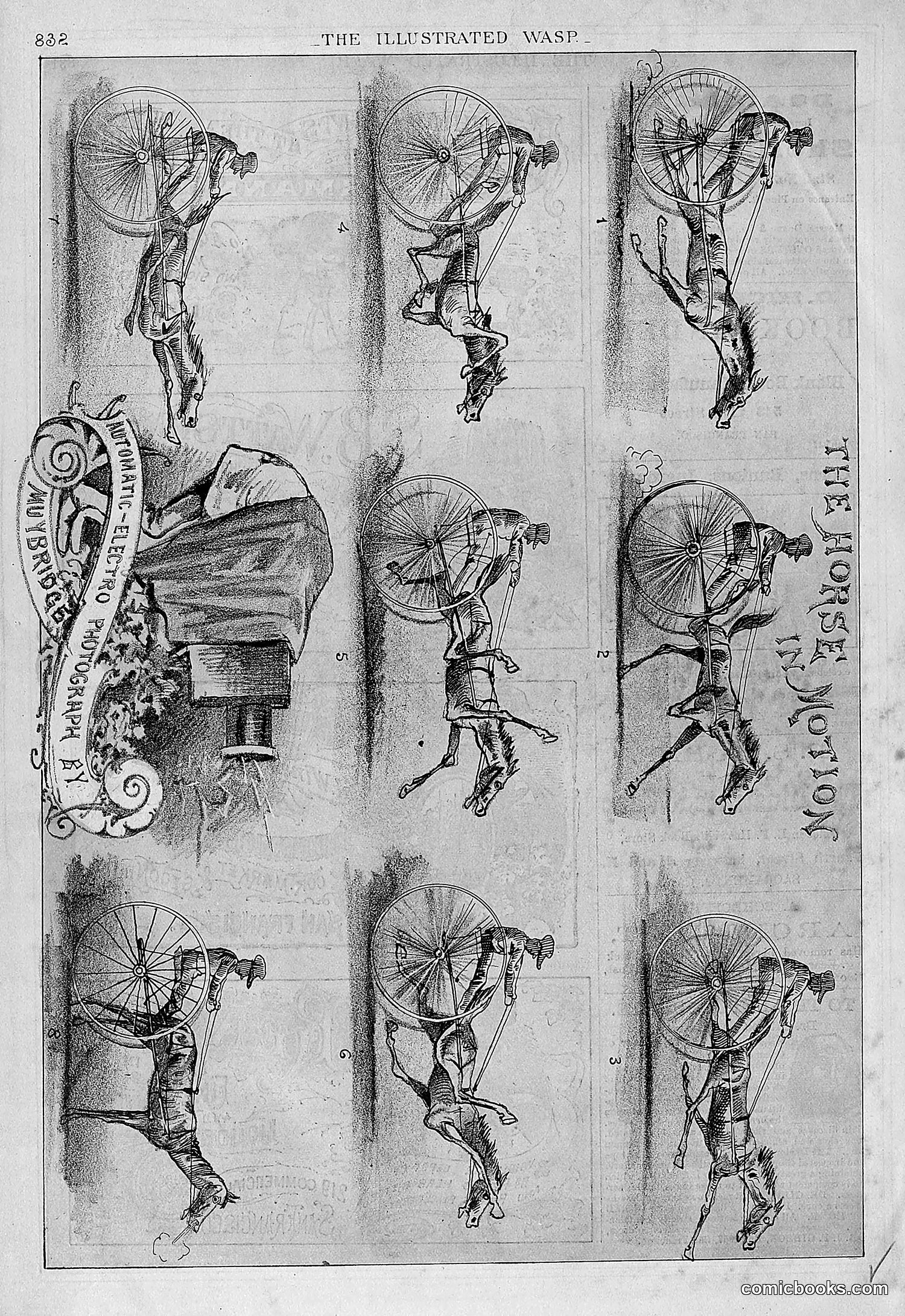 The Wasp — 1878 — page 489 of 500