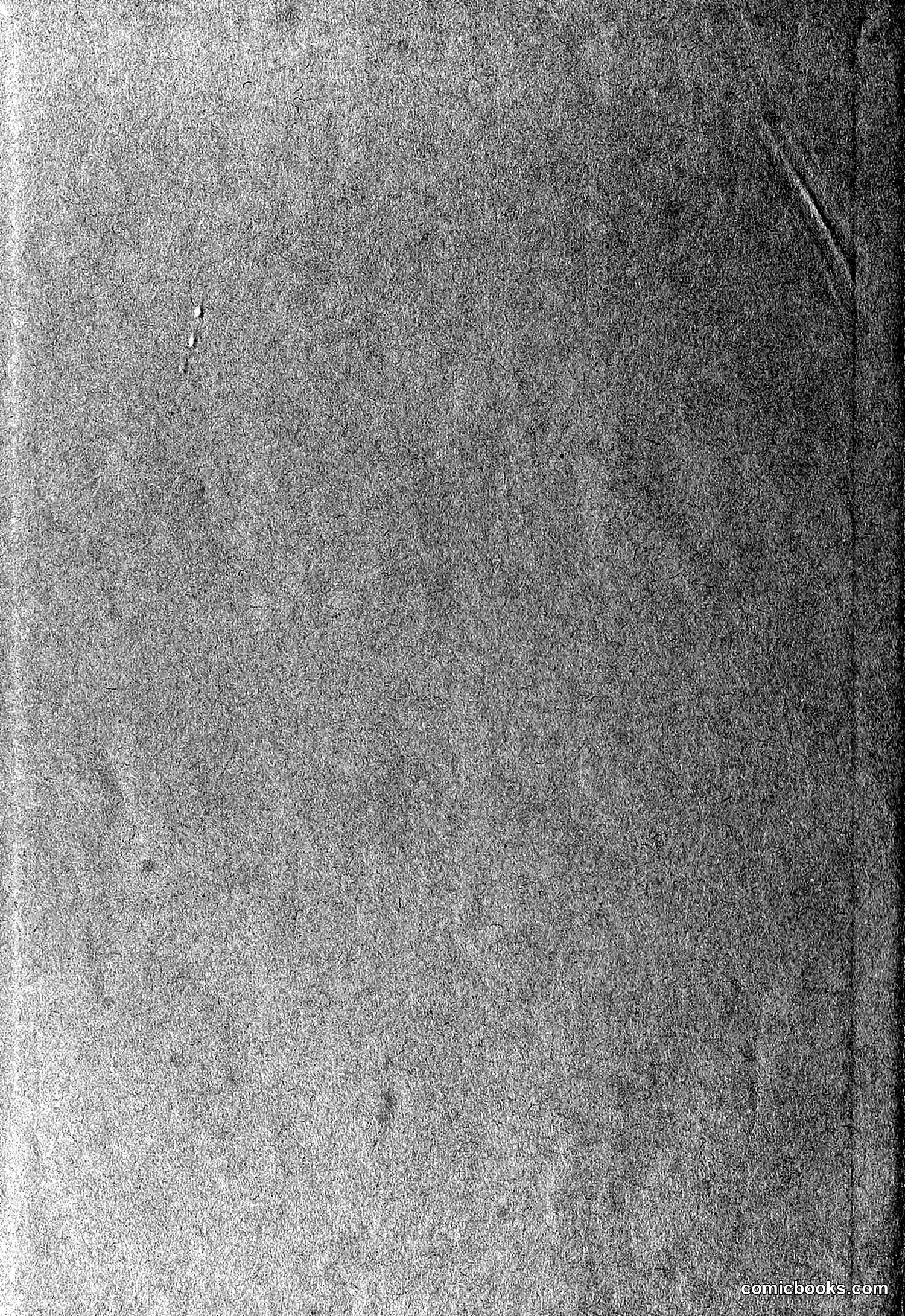 The Wasp — 1878 — page 493 of 500