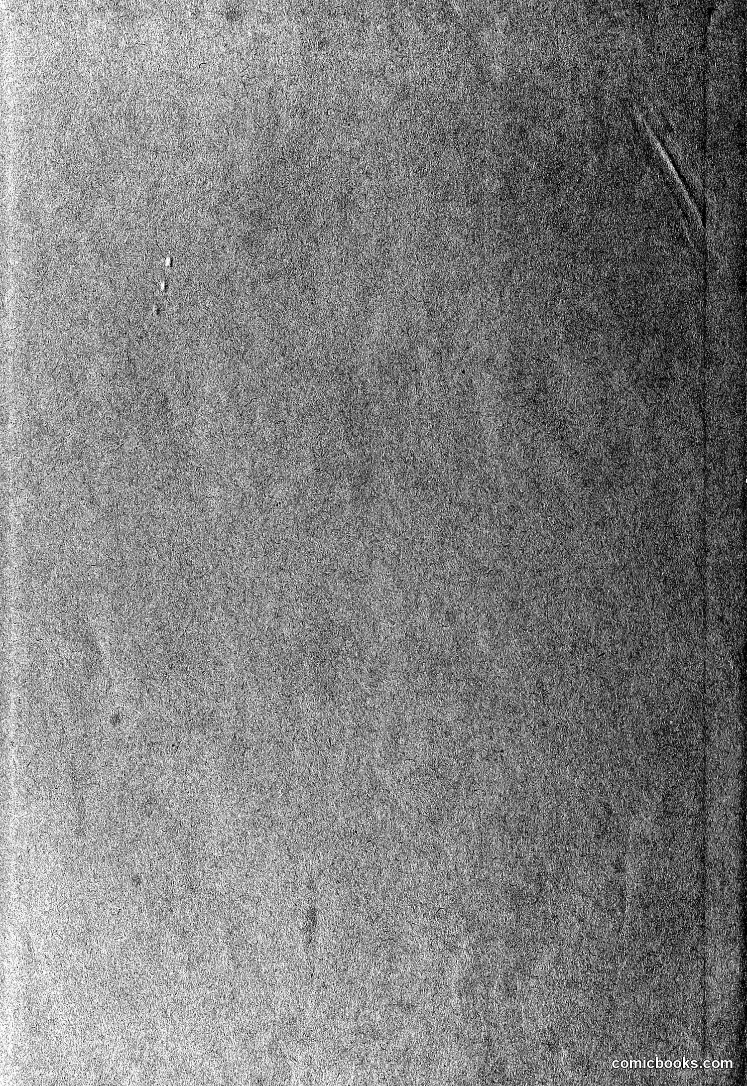 The Wasp — 1878 — page 495 of 500