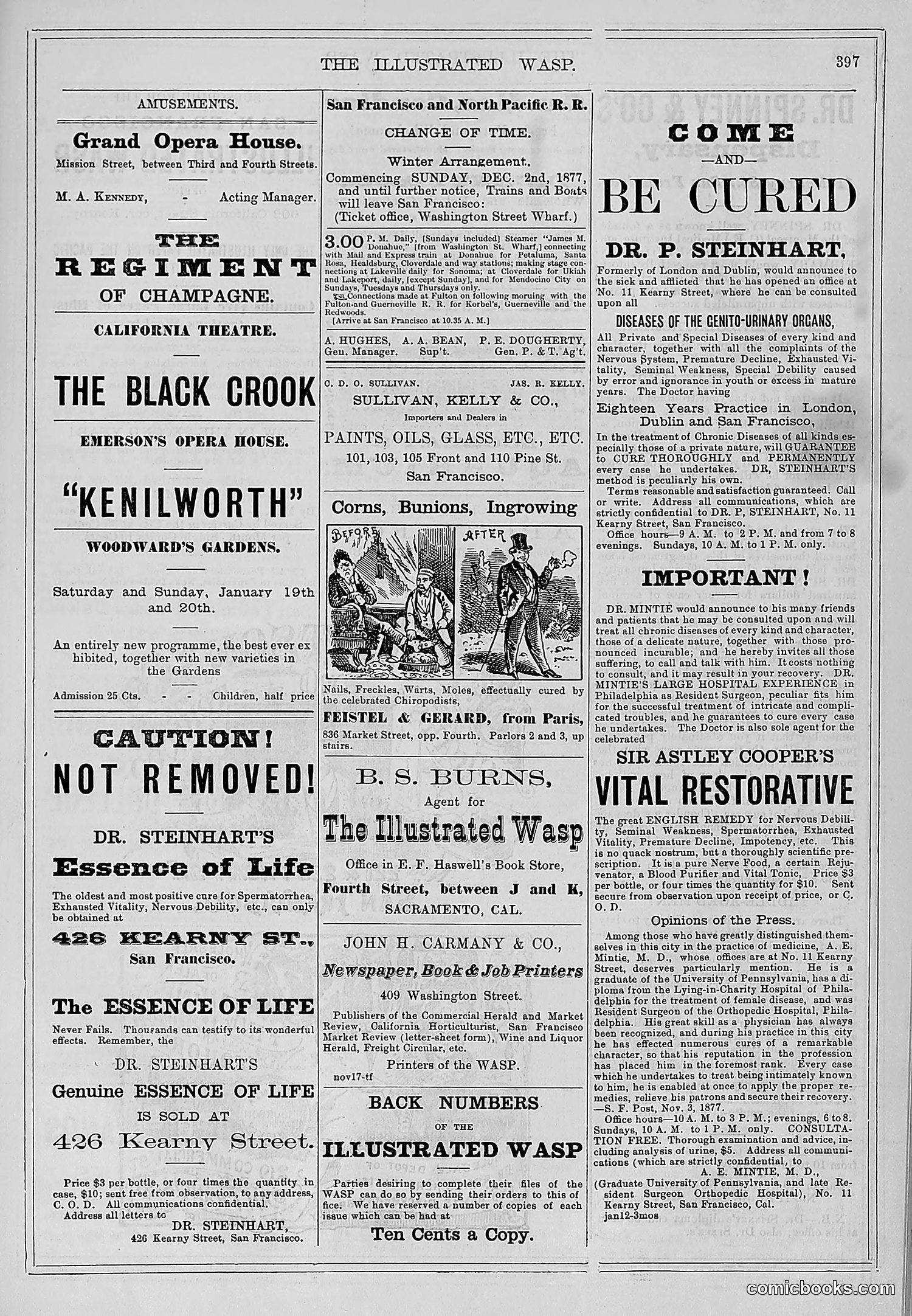 The Wasp — 1878 — page 52 of 500