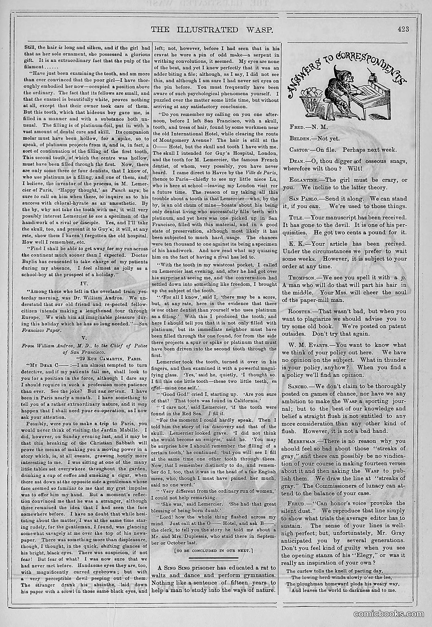 The Wasp — 1878 — page 78 of 500