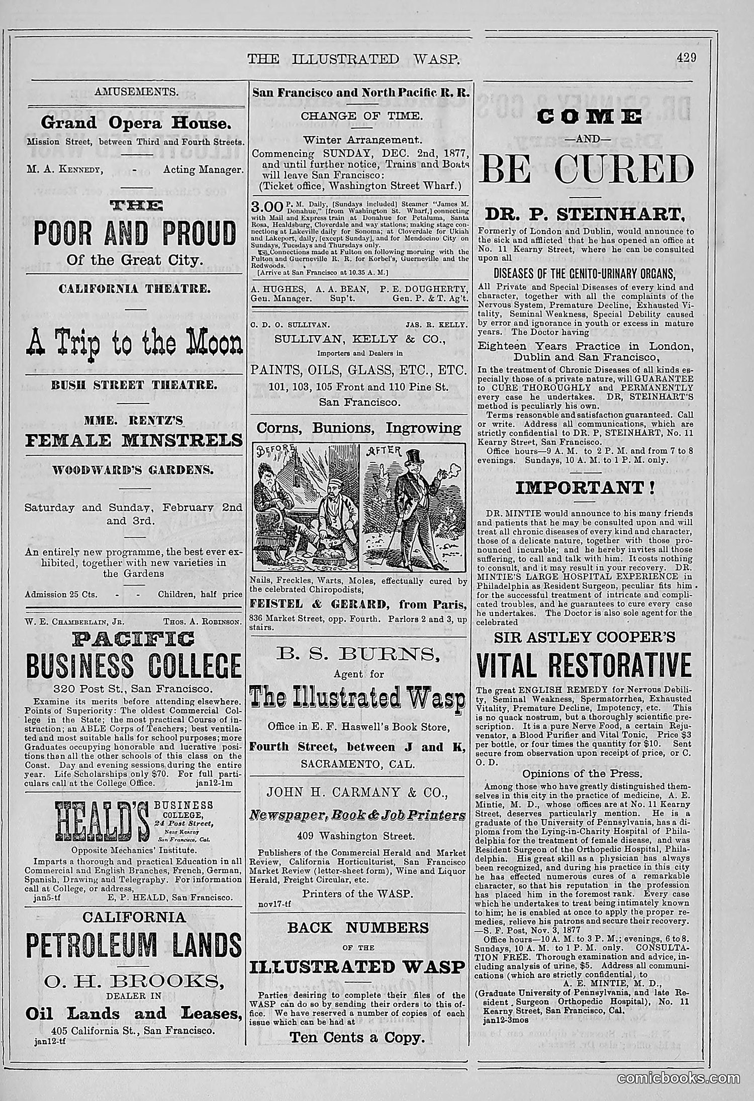 The Wasp — 1878 — page 84 of 500