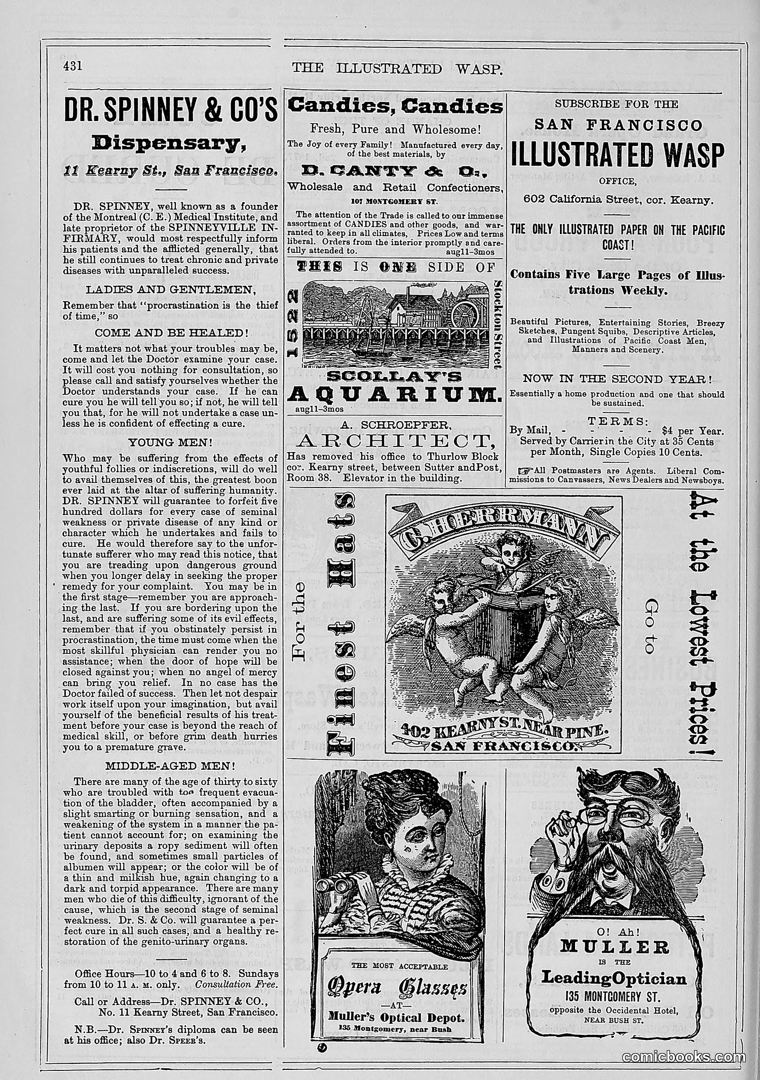 The Wasp — 1878 — page 85 of 500