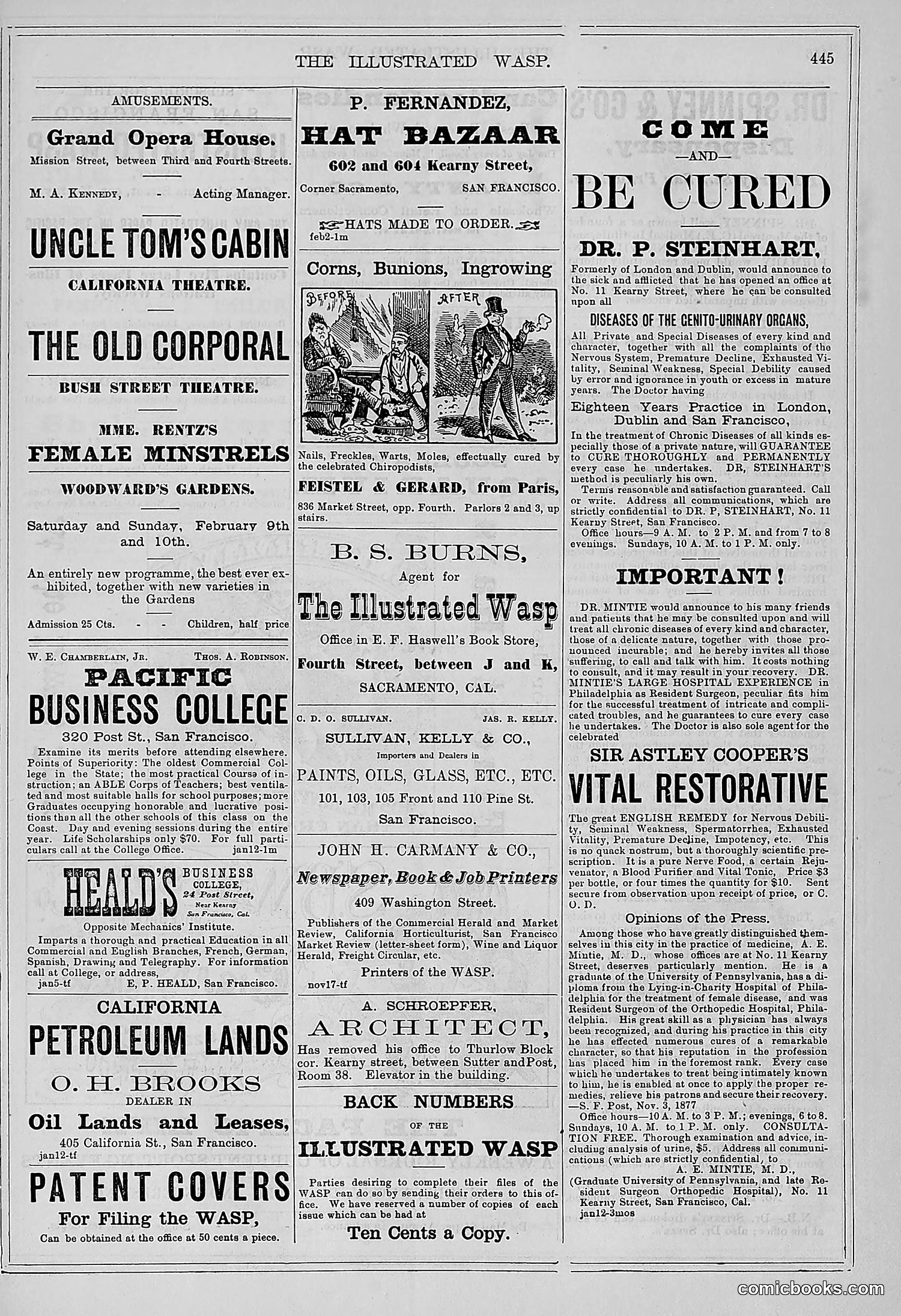 The Wasp — 1878 — page 100 of 500