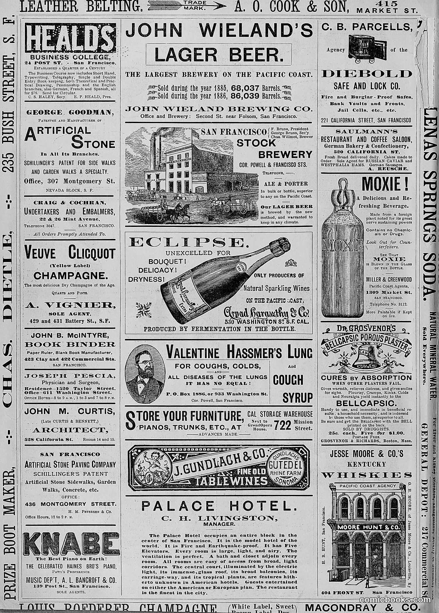 The Wasp — 1888 — page 9 of 526