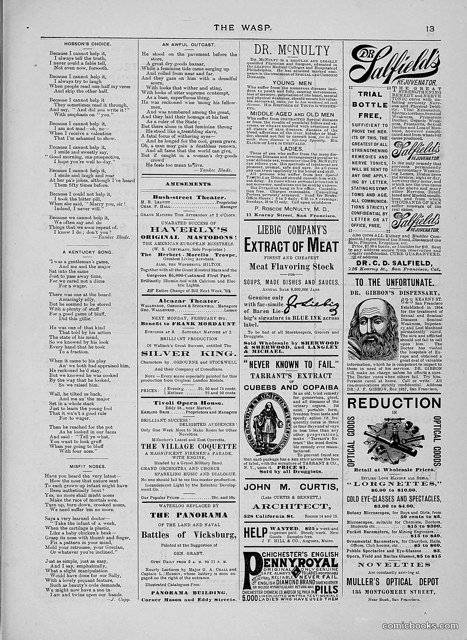 The Wasp — 1888 — page 102 of 526