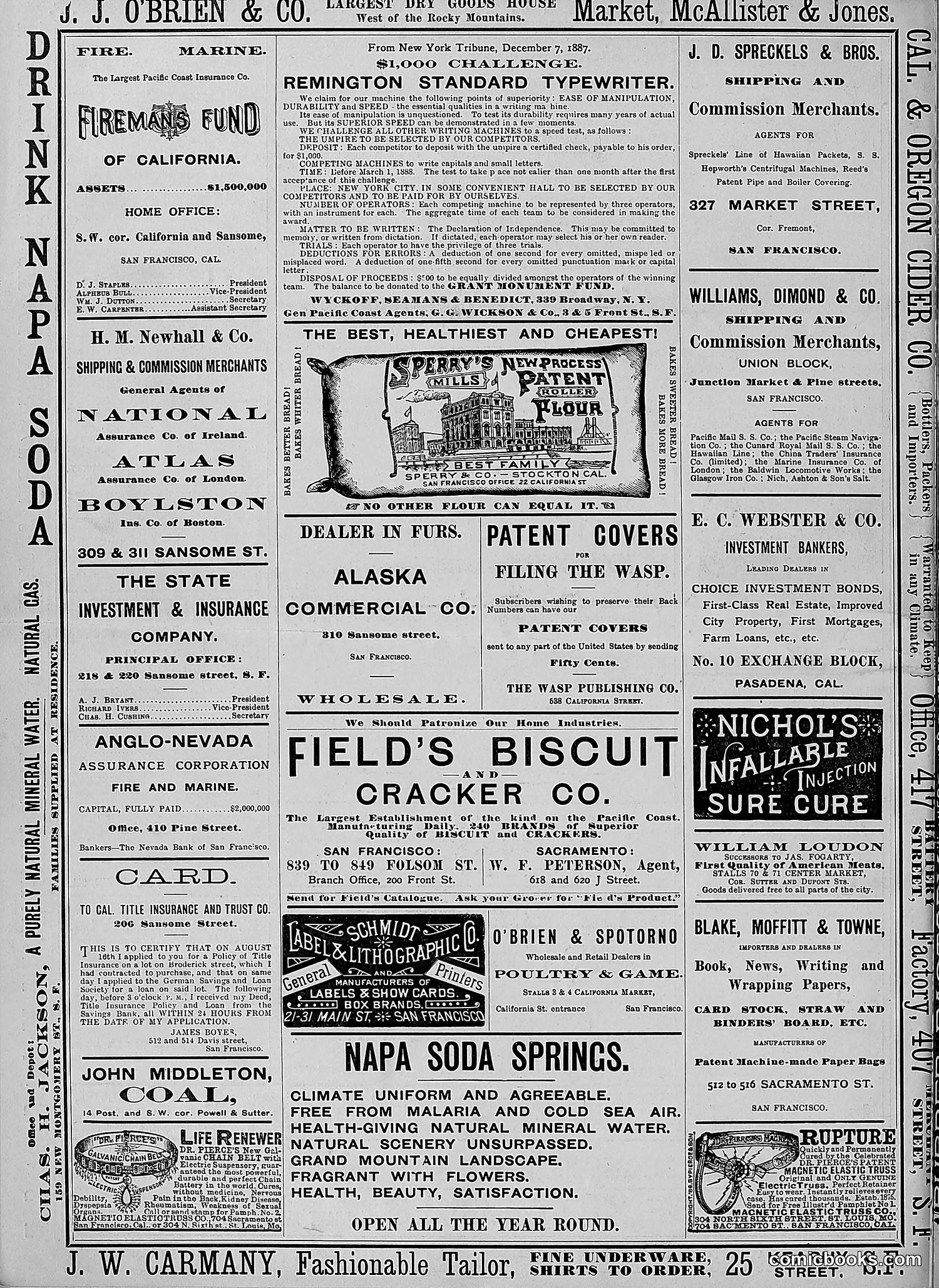 The Wasp — 1888 — page 107 of 526