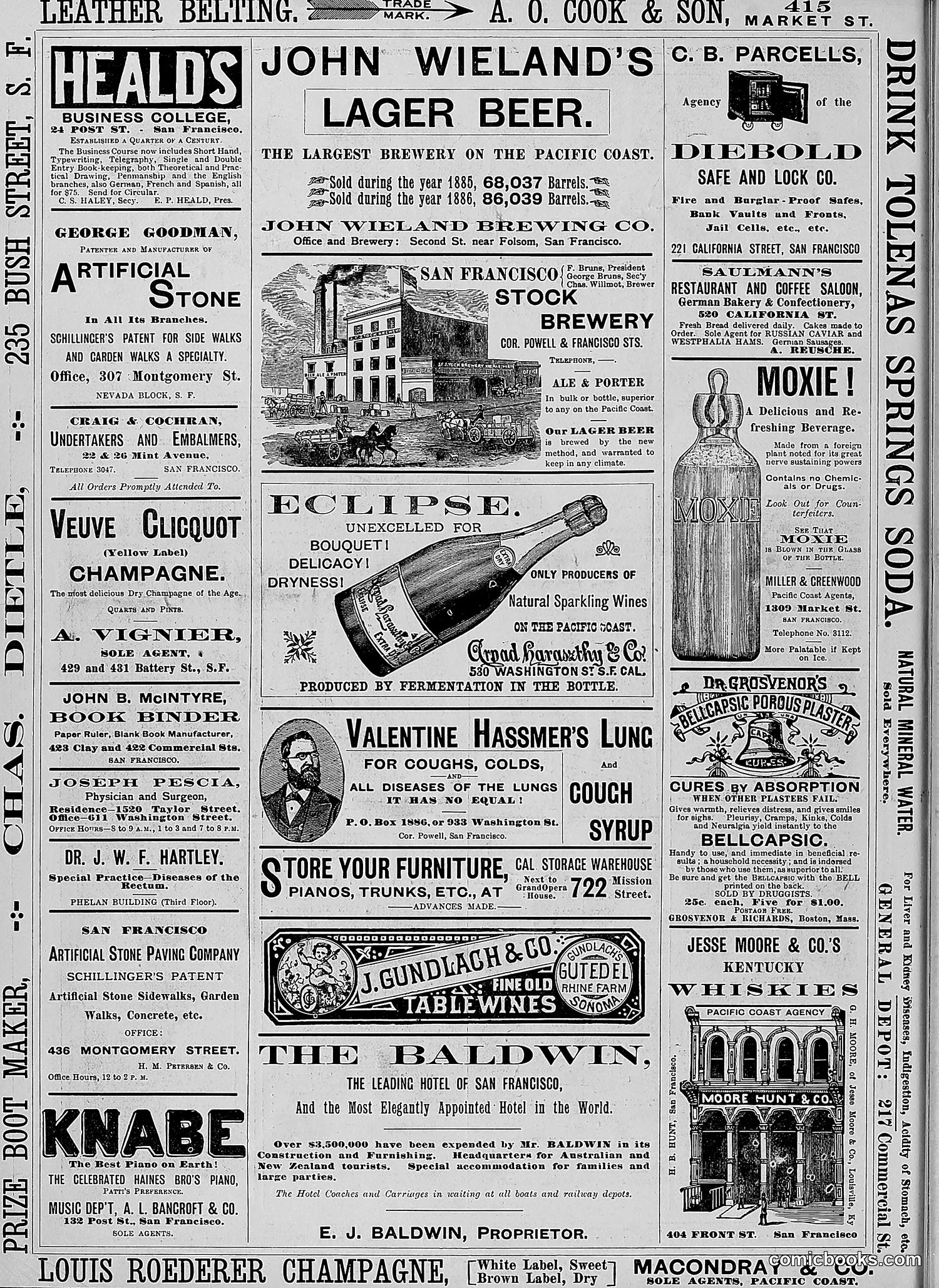 The Wasp — 1888 — page 109 of 526