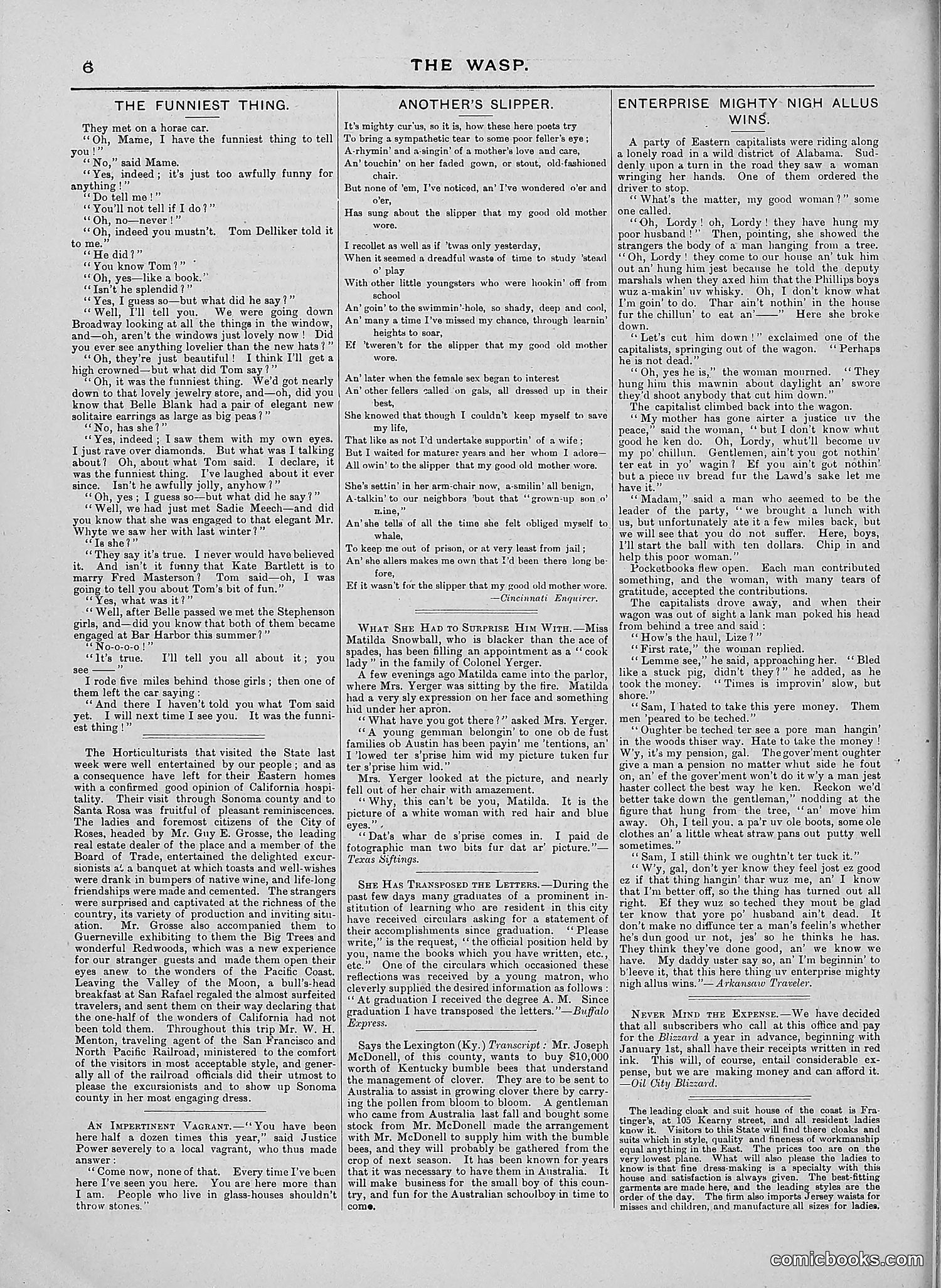 The Wasp — 1888 — page 115 of 526