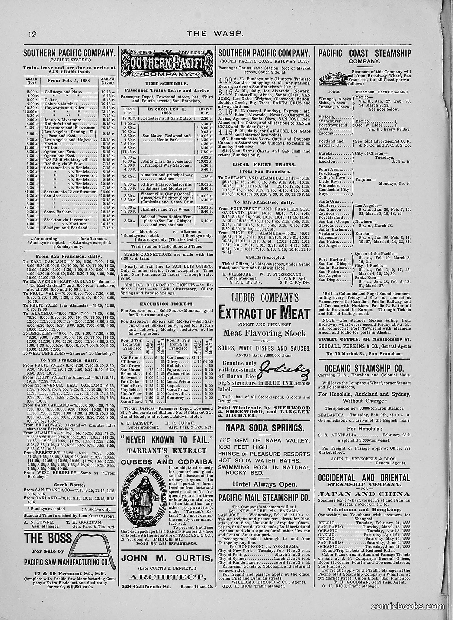 The Wasp — 1888 — page 121 of 526