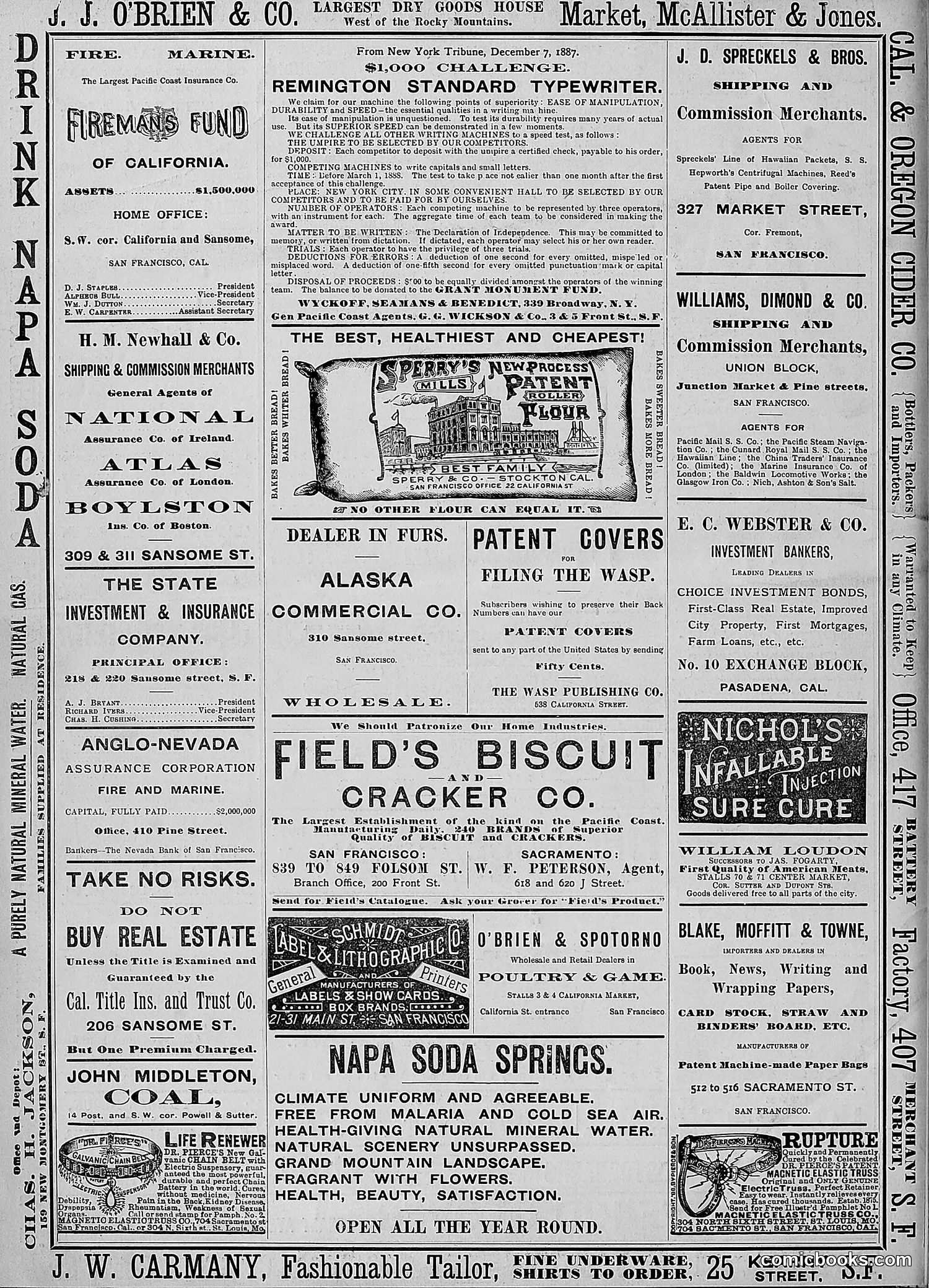 The Wasp — 1888 — page 127 of 526