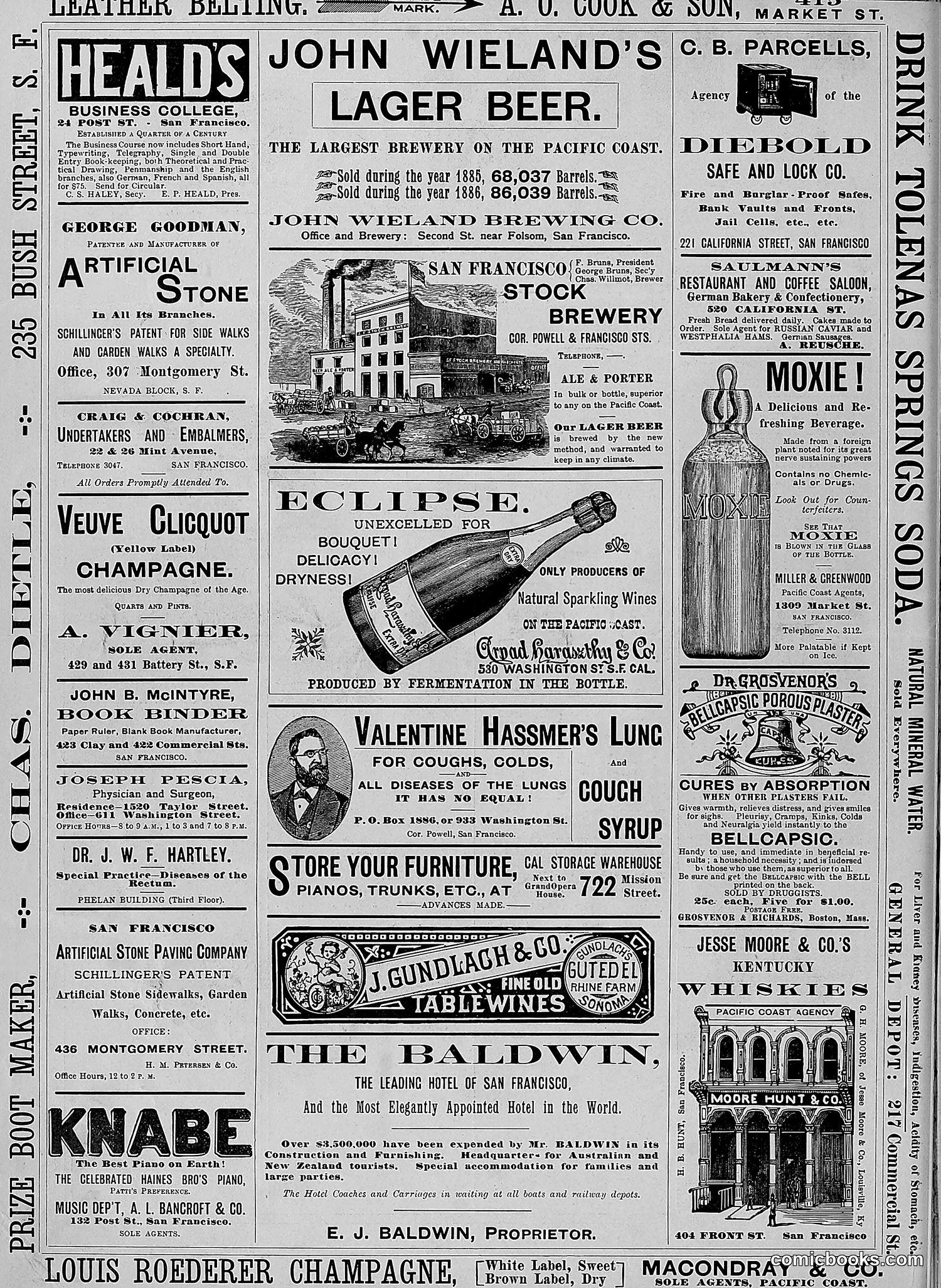 The Wasp — 1888 — page 129 of 526
