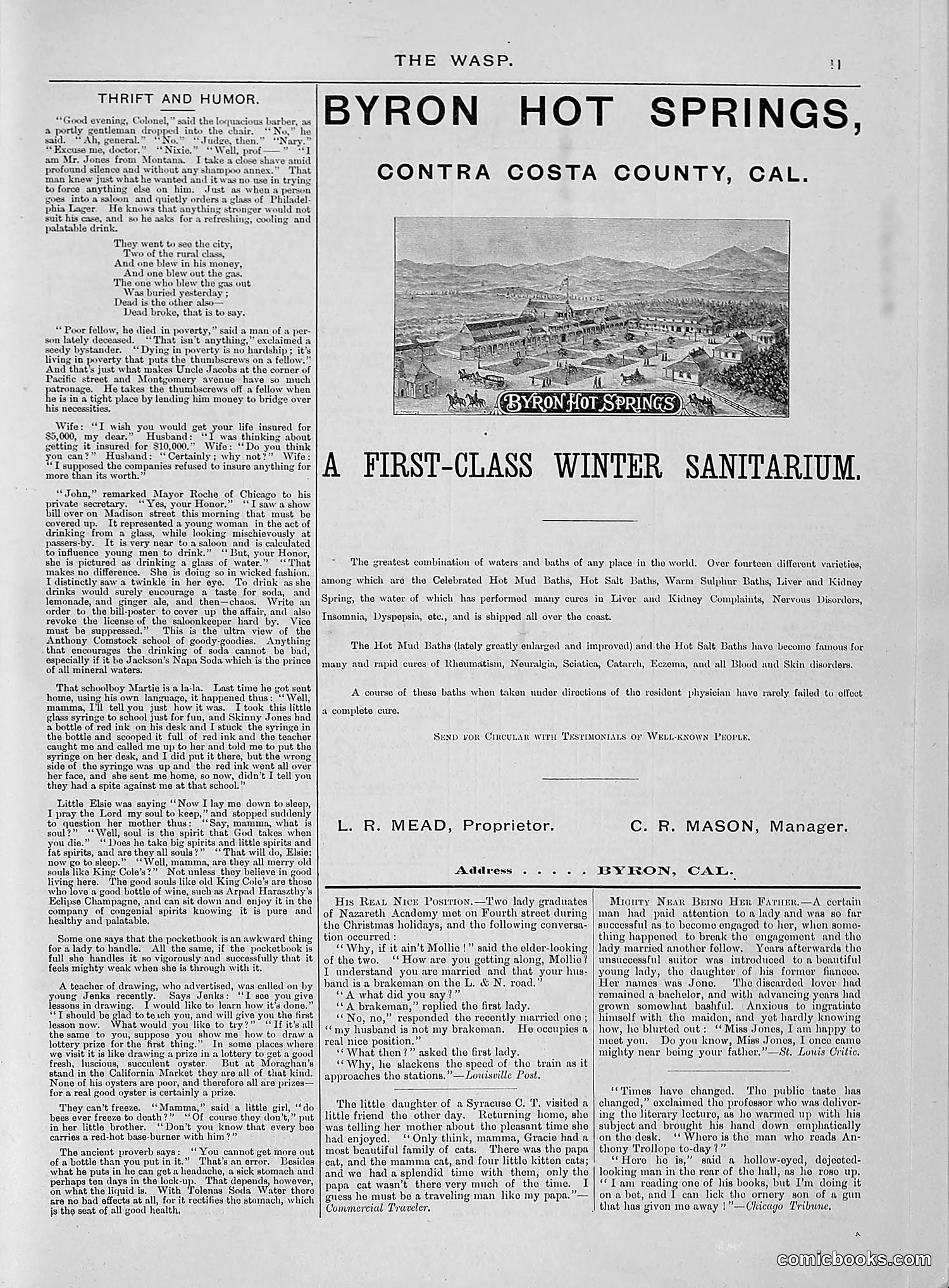 The Wasp — 1888 — page 140 of 526