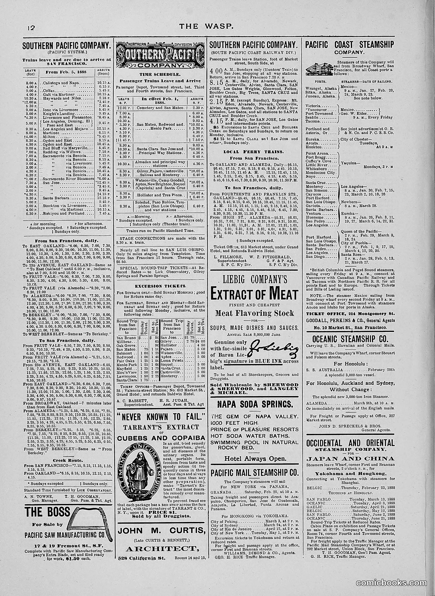 The Wasp — 1888 — page 141 of 526