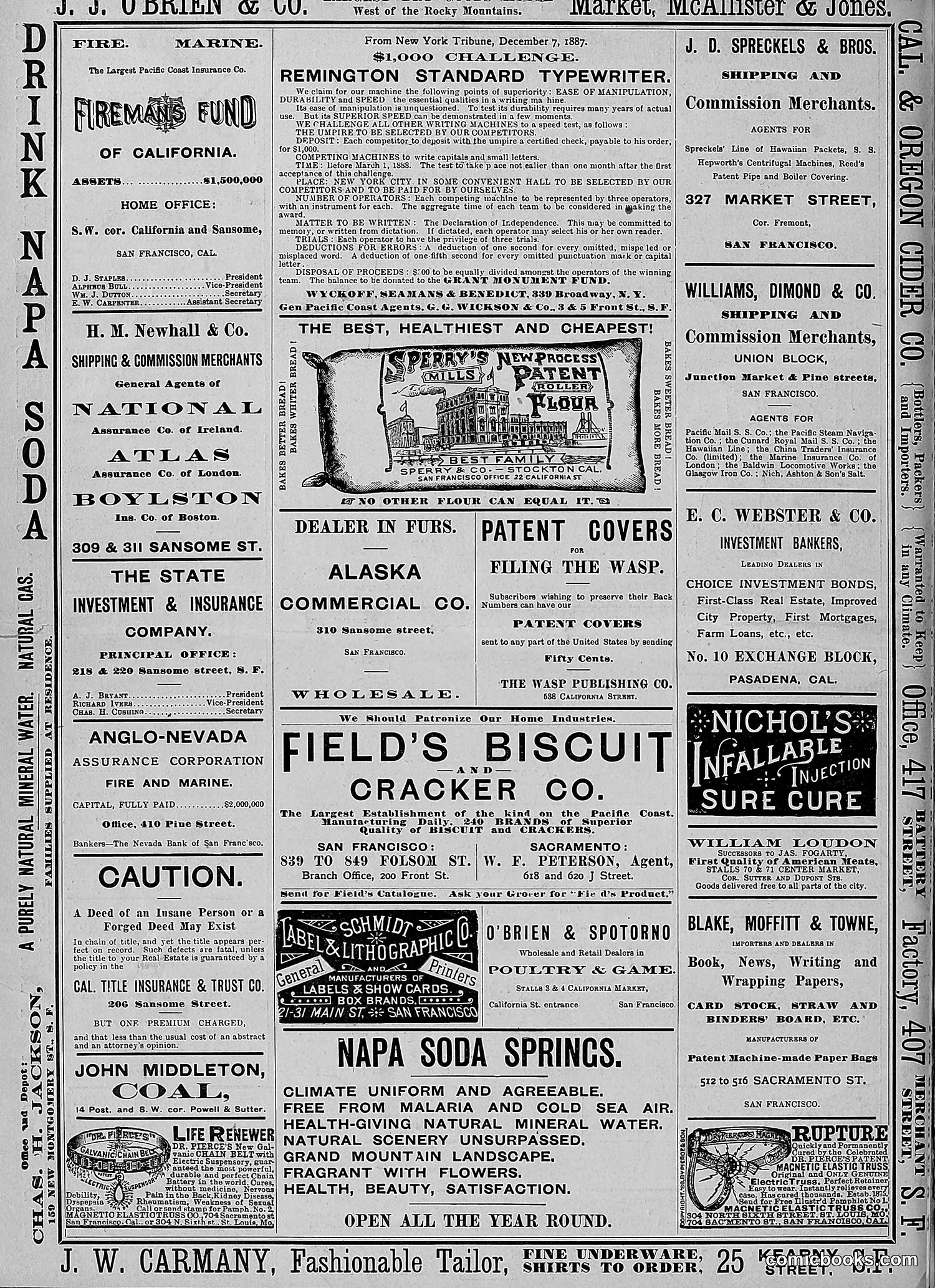 The Wasp — 1888 — page 147 of 526