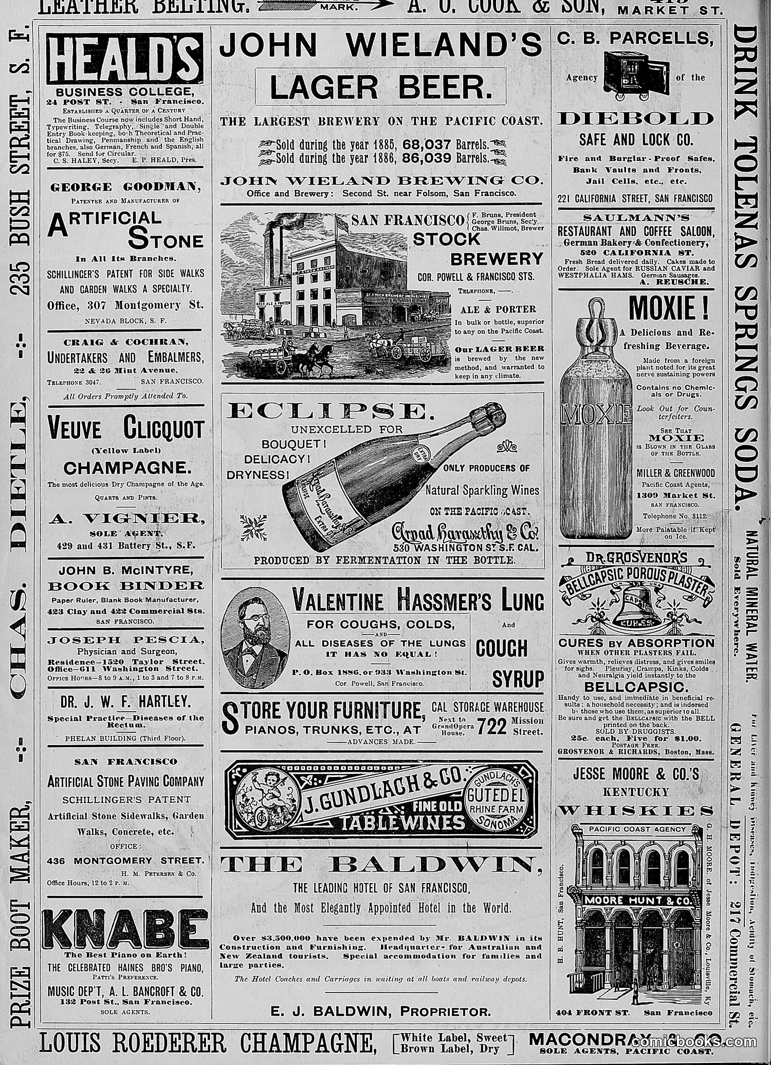 The Wasp — 1888 — page 149 of 526