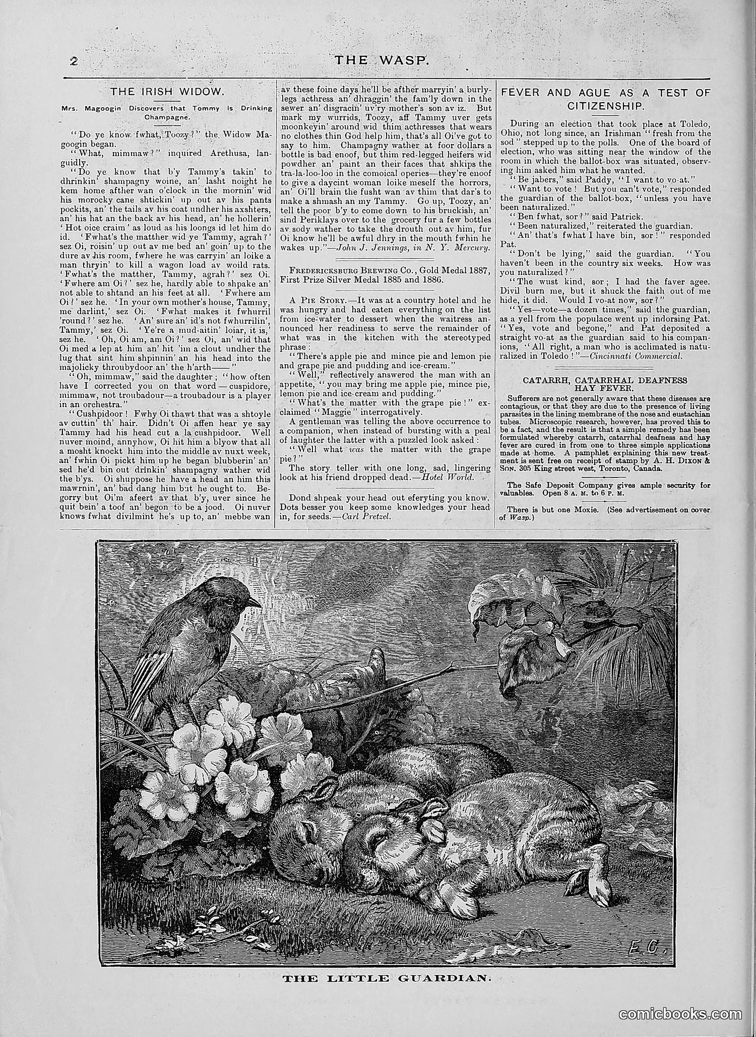 The Wasp — 1888 — page 151 of 526