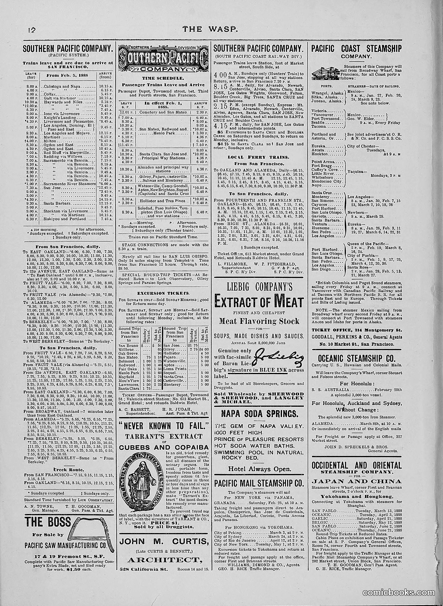 The Wasp — 1888 — page 161 of 526