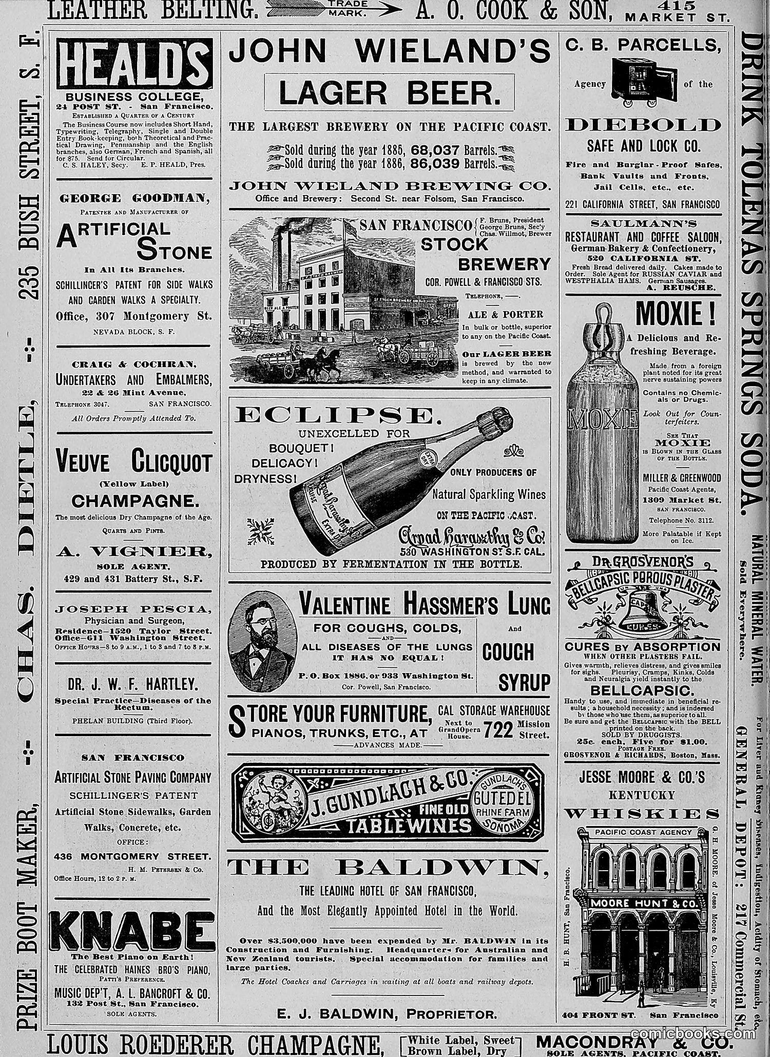 The Wasp — 1888 — page 169 of 526