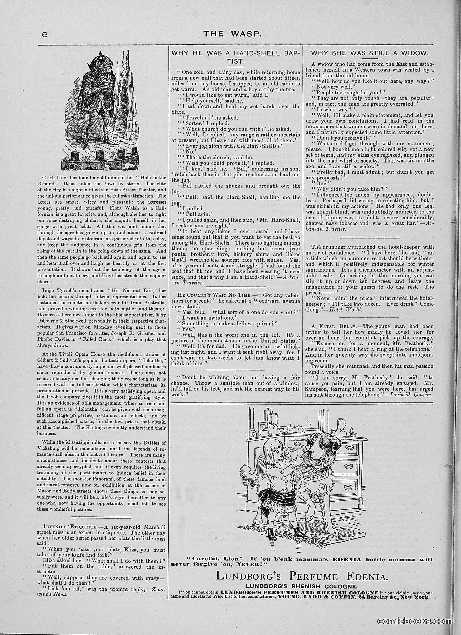 The Wasp — 1888 — page 175 of 526