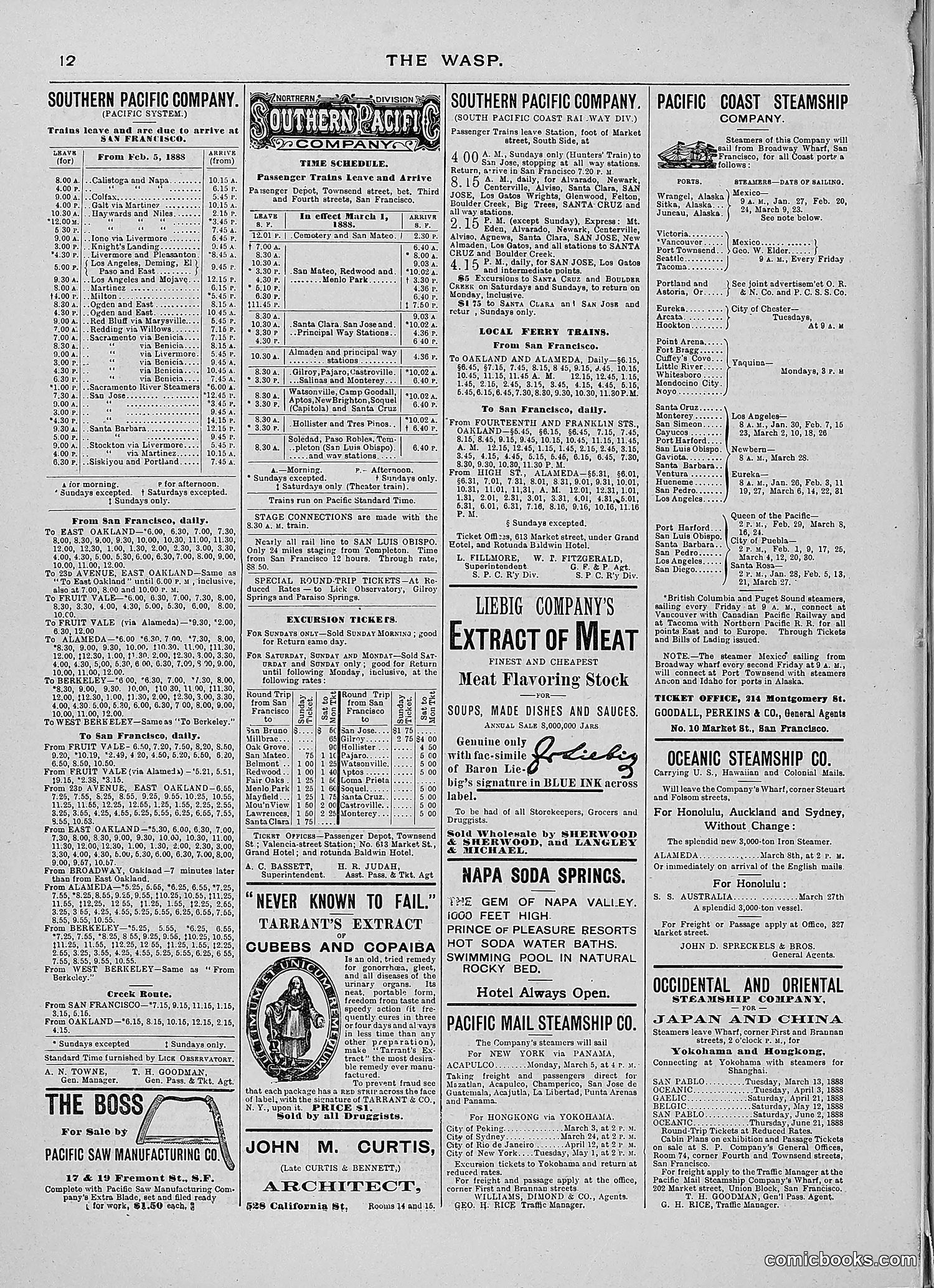 The Wasp — 1888 — page 181 of 526