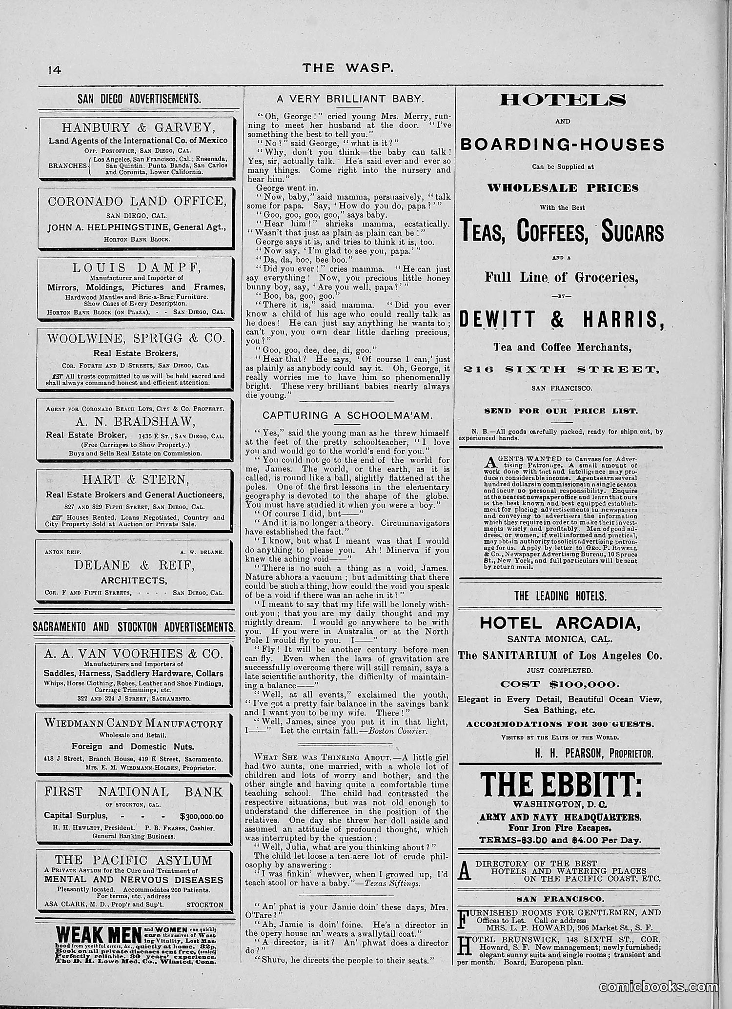 The Wasp — 1888 — page 183 of 526