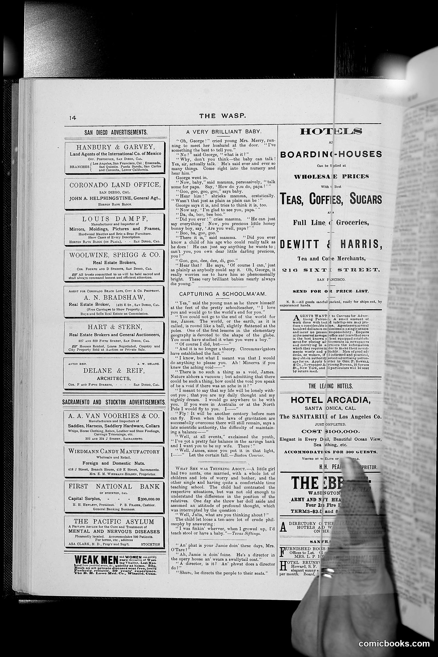 The Wasp — 1888 — page 185 of 526