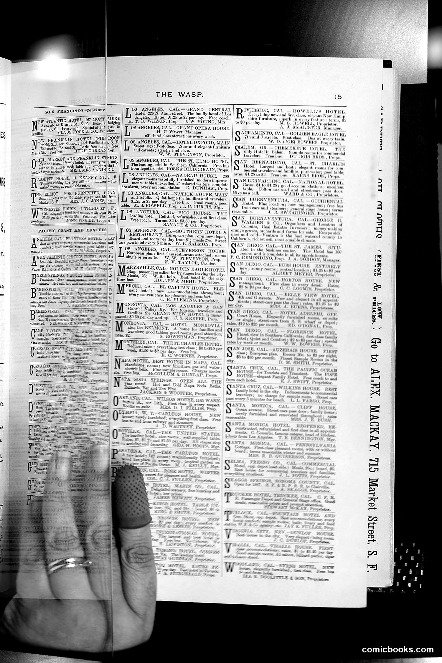 The Wasp — 1888 — page 186 of 526