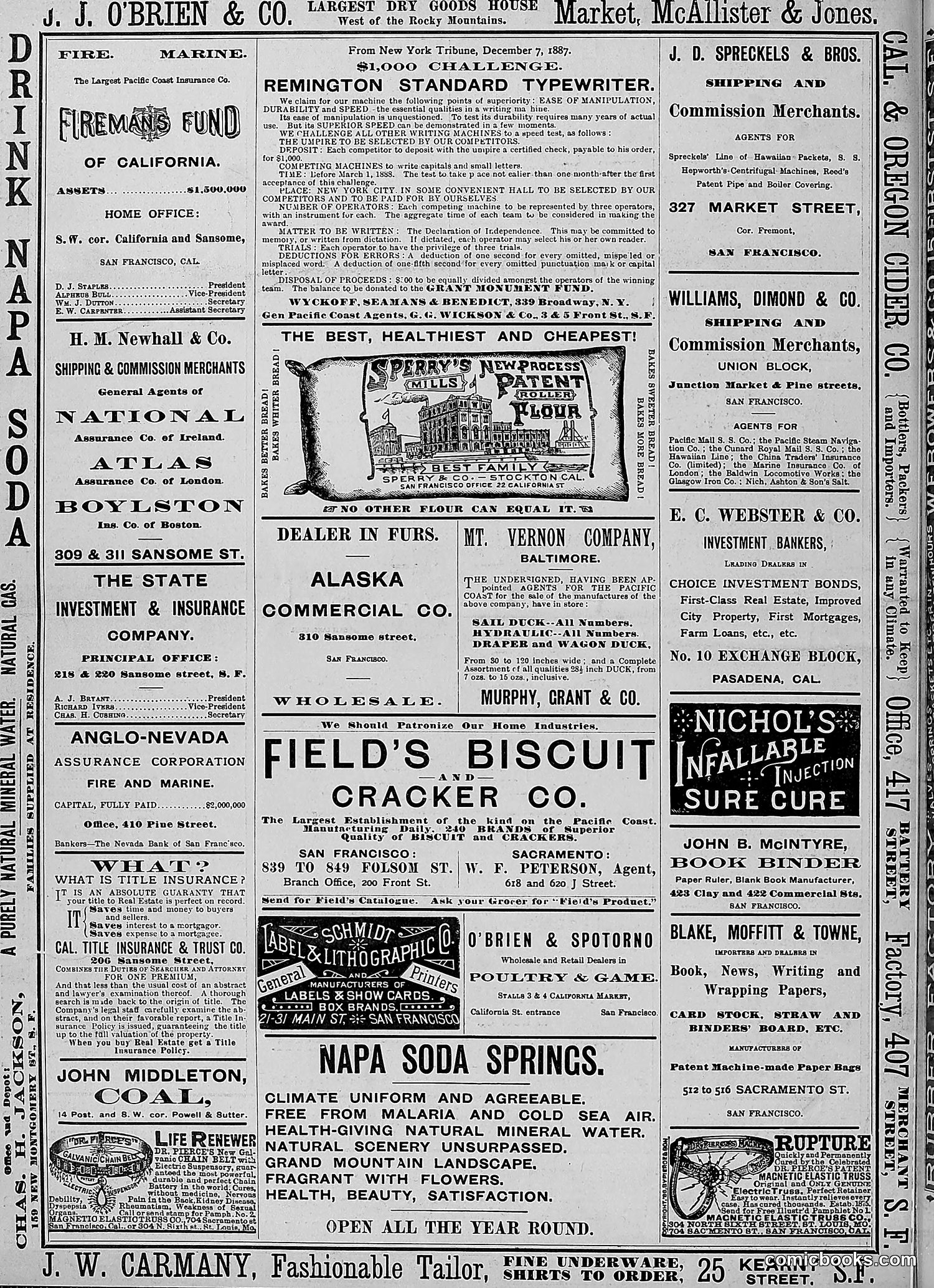 The Wasp — 1888 — page 189 of 526