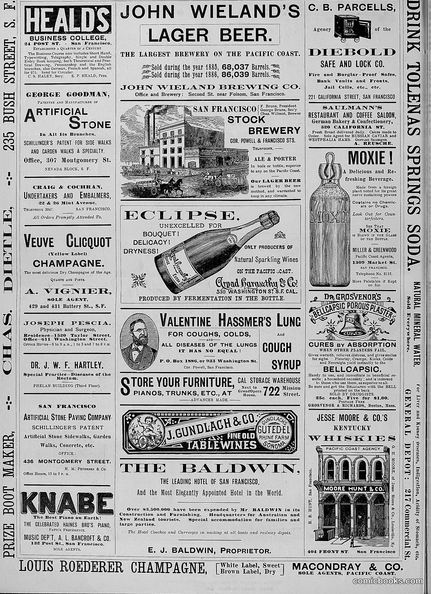 The Wasp — 1888 — page 191 of 526