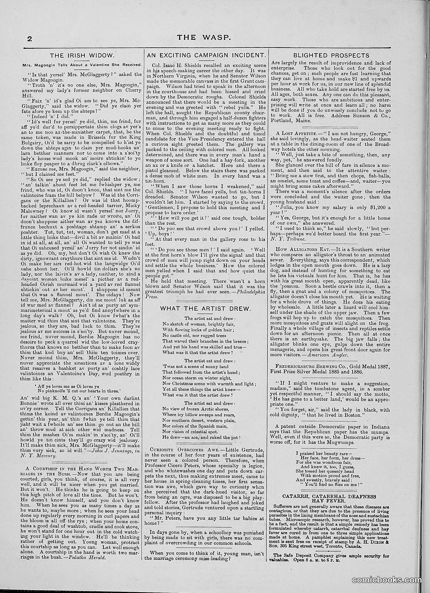 The Wasp — 1888 — page 193 of 526