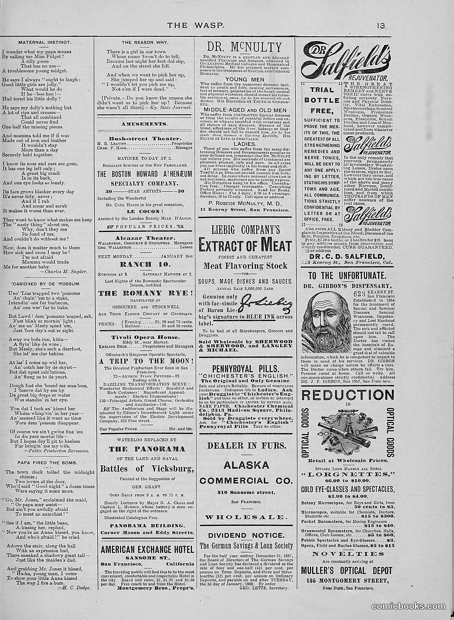 The Wasp — 1888 — page 22 of 526