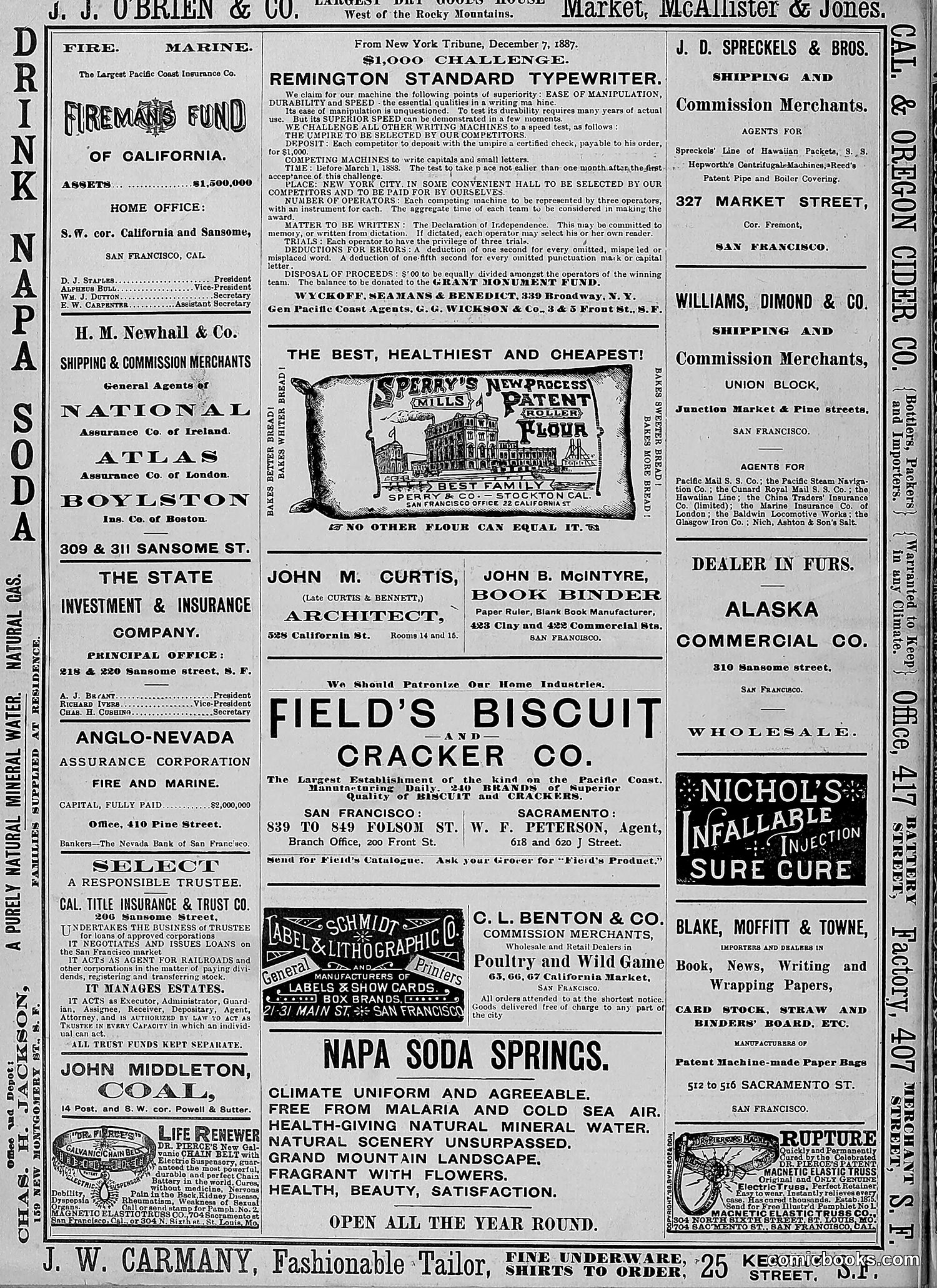 The Wasp — 1888 — page 229 of 526