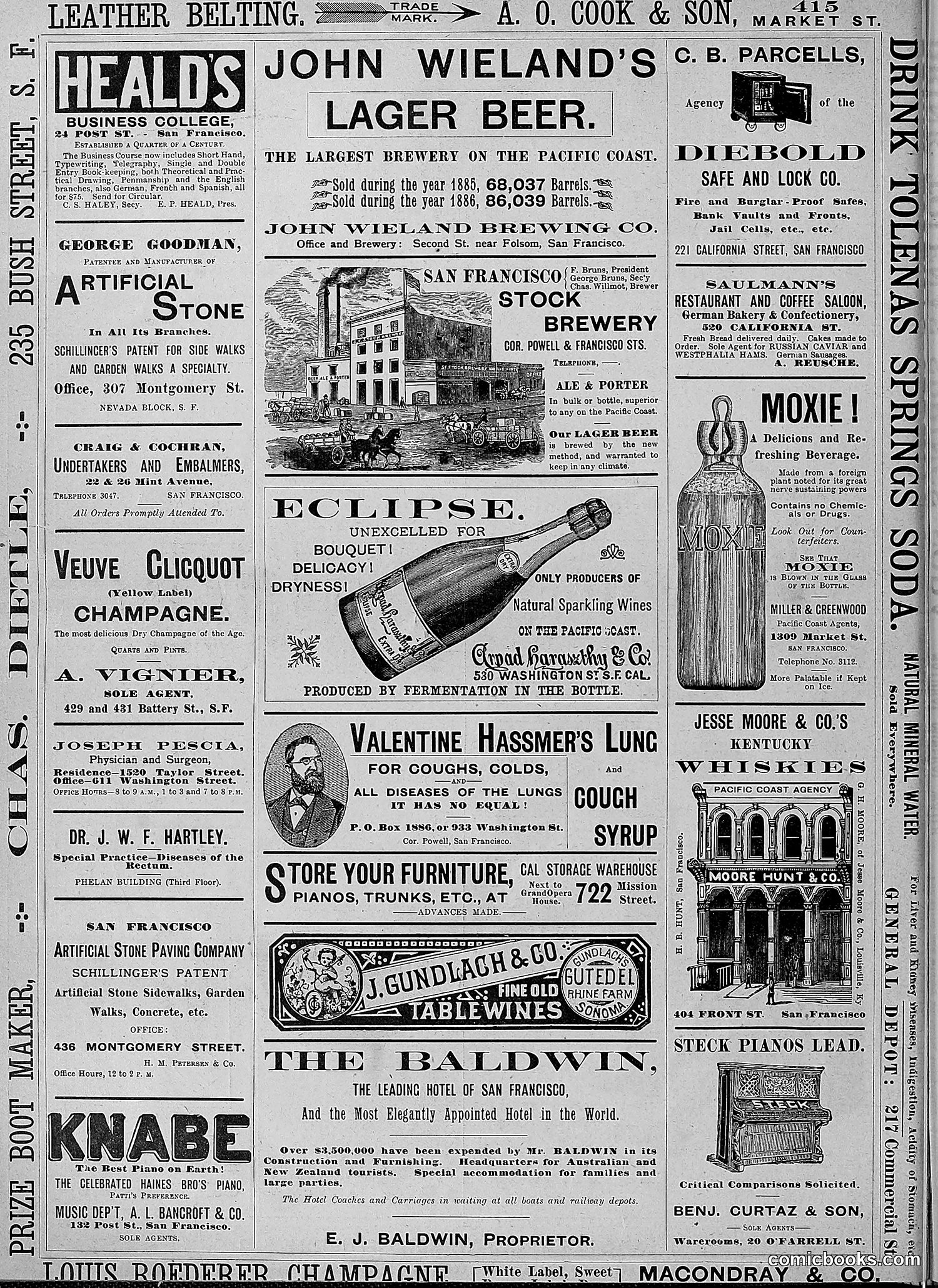 The Wasp — 1888 — page 231 of 526