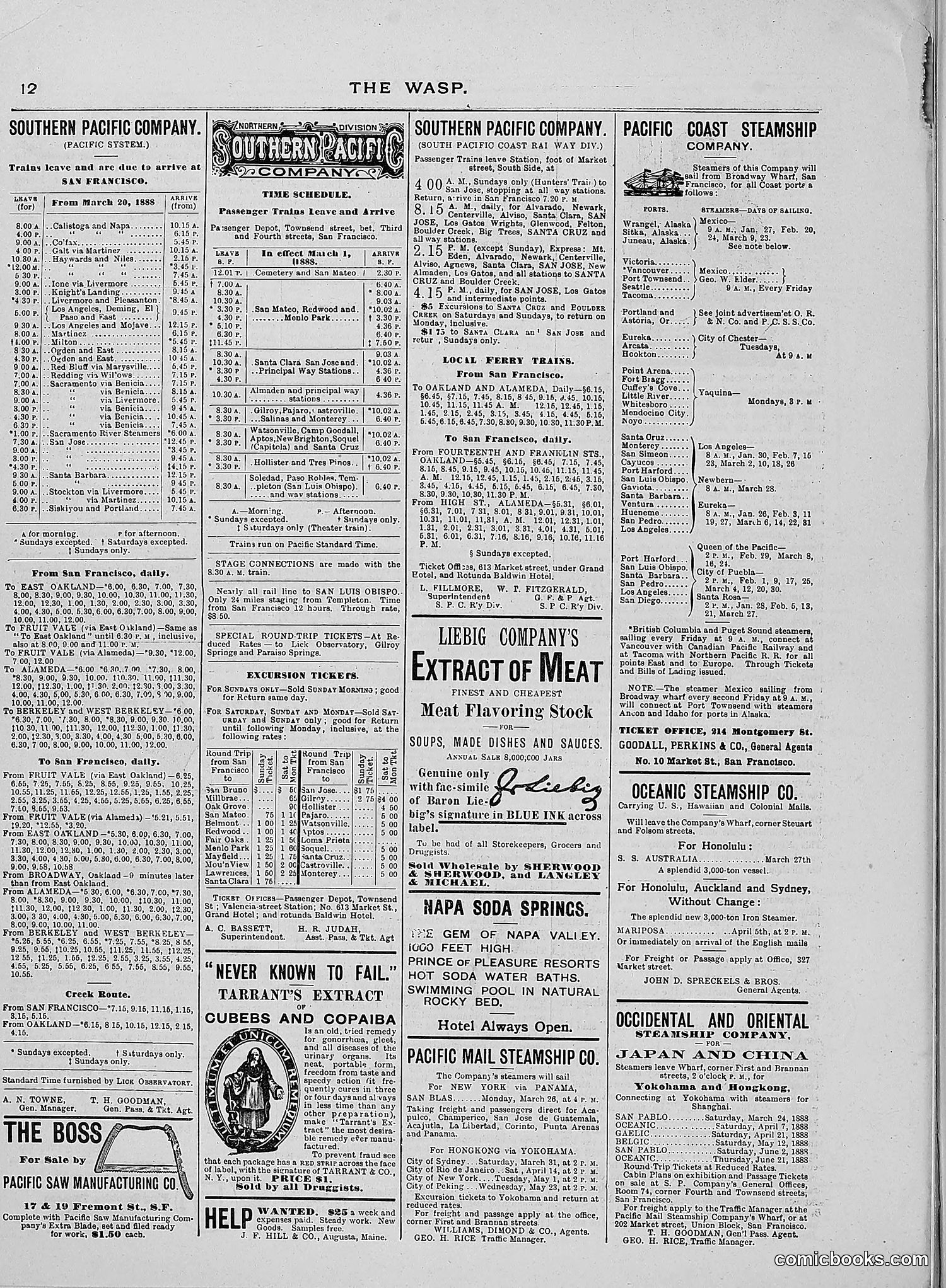The Wasp — 1888 — page 243 of 526