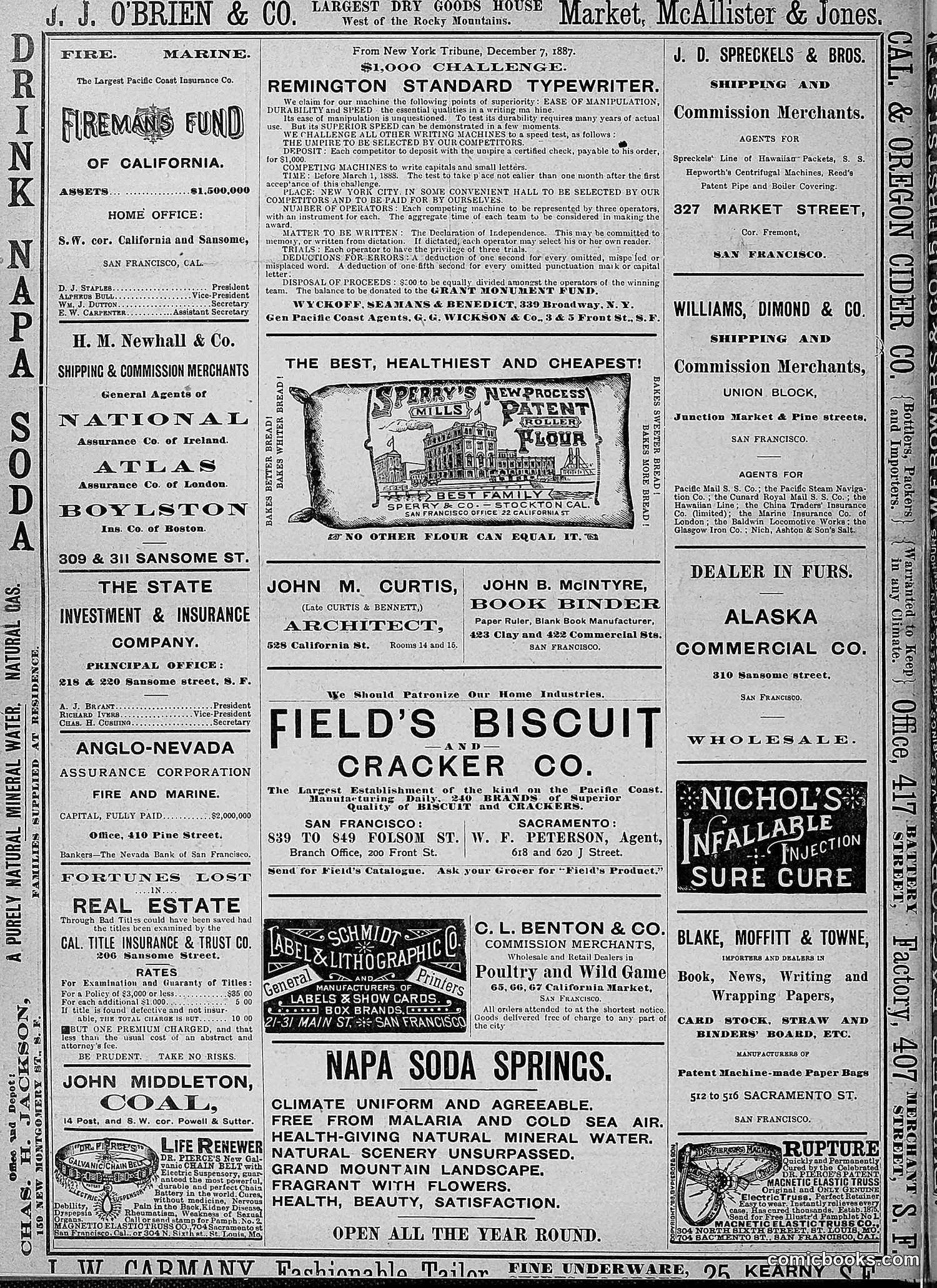 The Wasp — 1888 — page 249 of 526