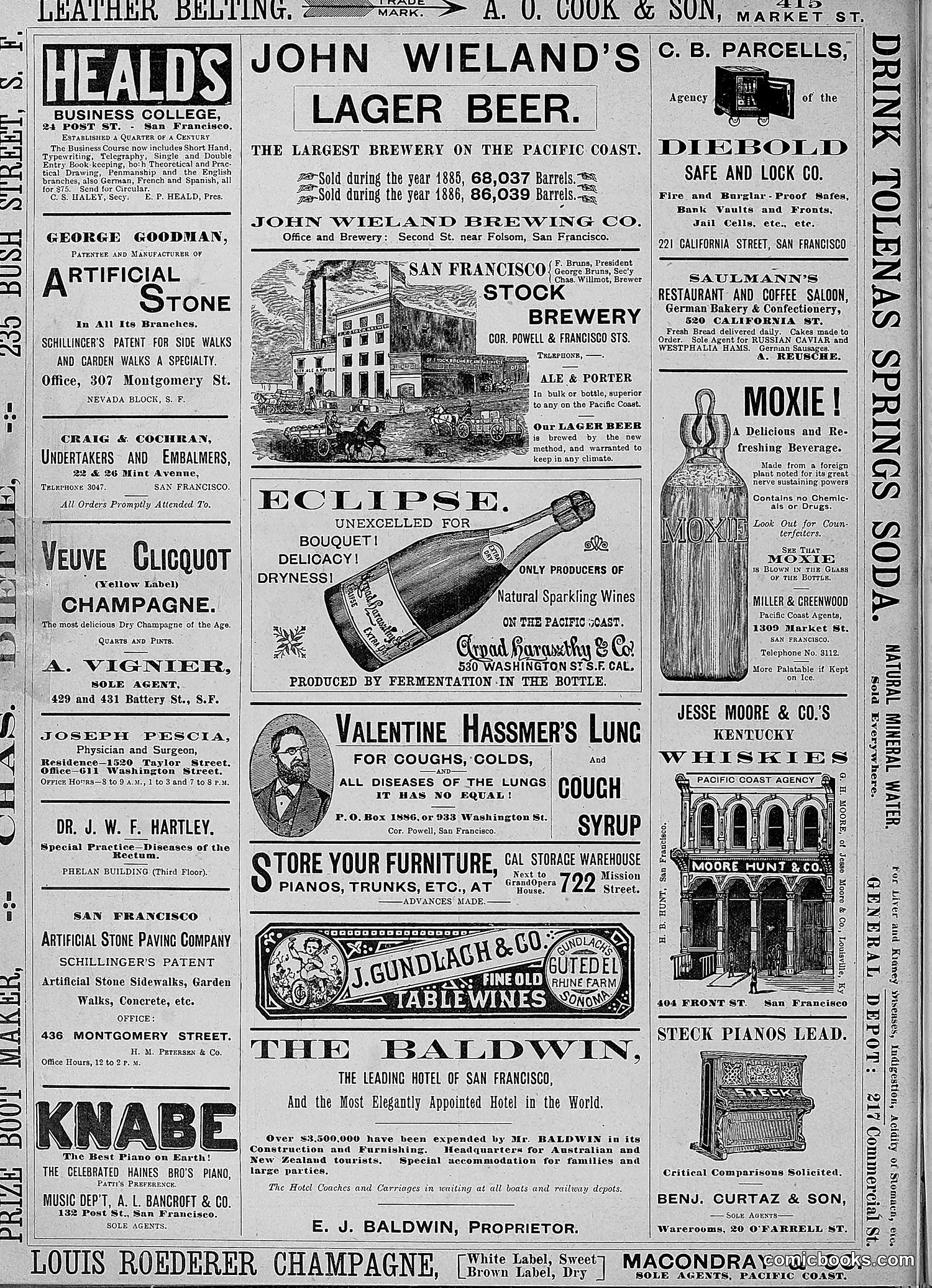 The Wasp — 1888 — page 251 of 526