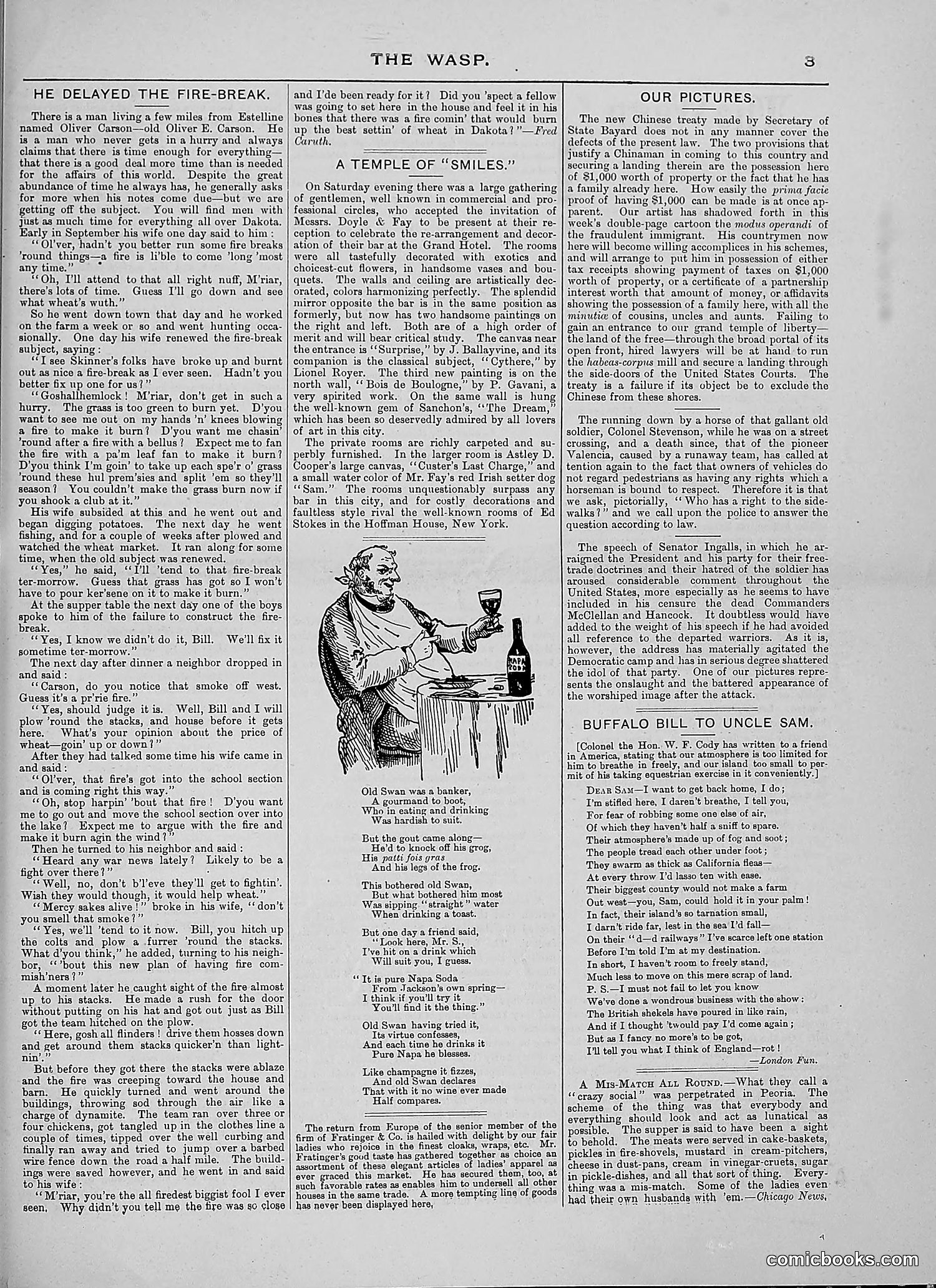 The Wasp — 1888 — page 254 of 526