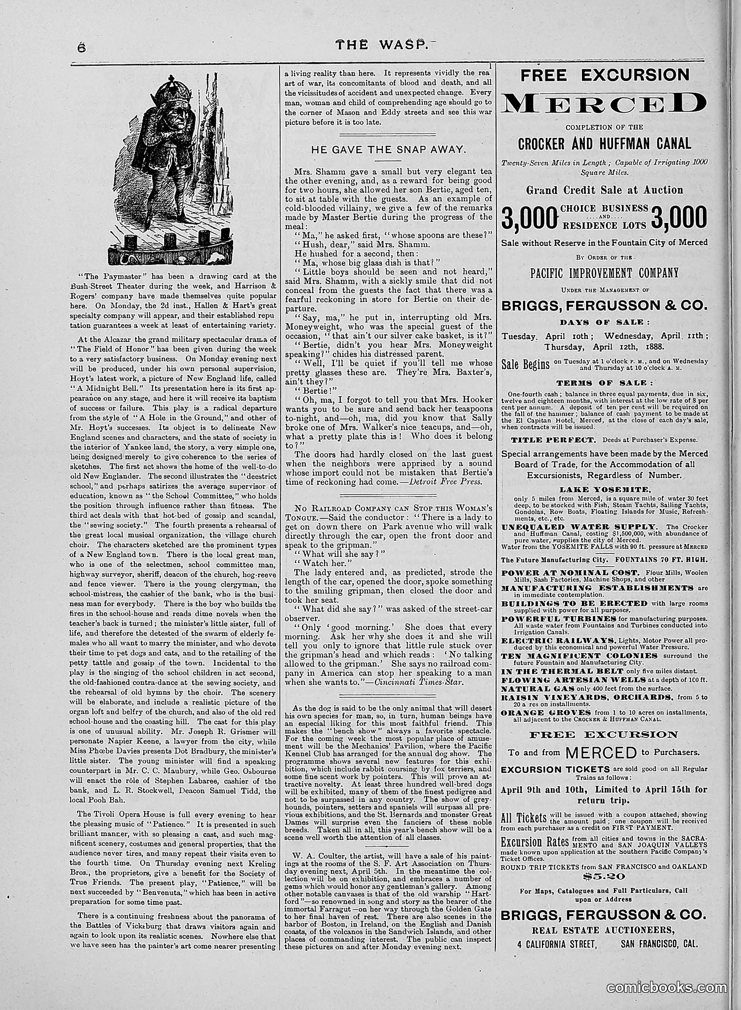 The Wasp — 1888 — page 257 of 526