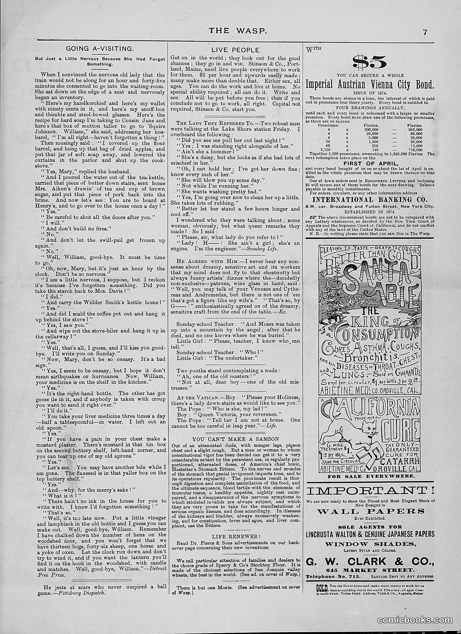 The Wasp — 1888 — page 258 of 526