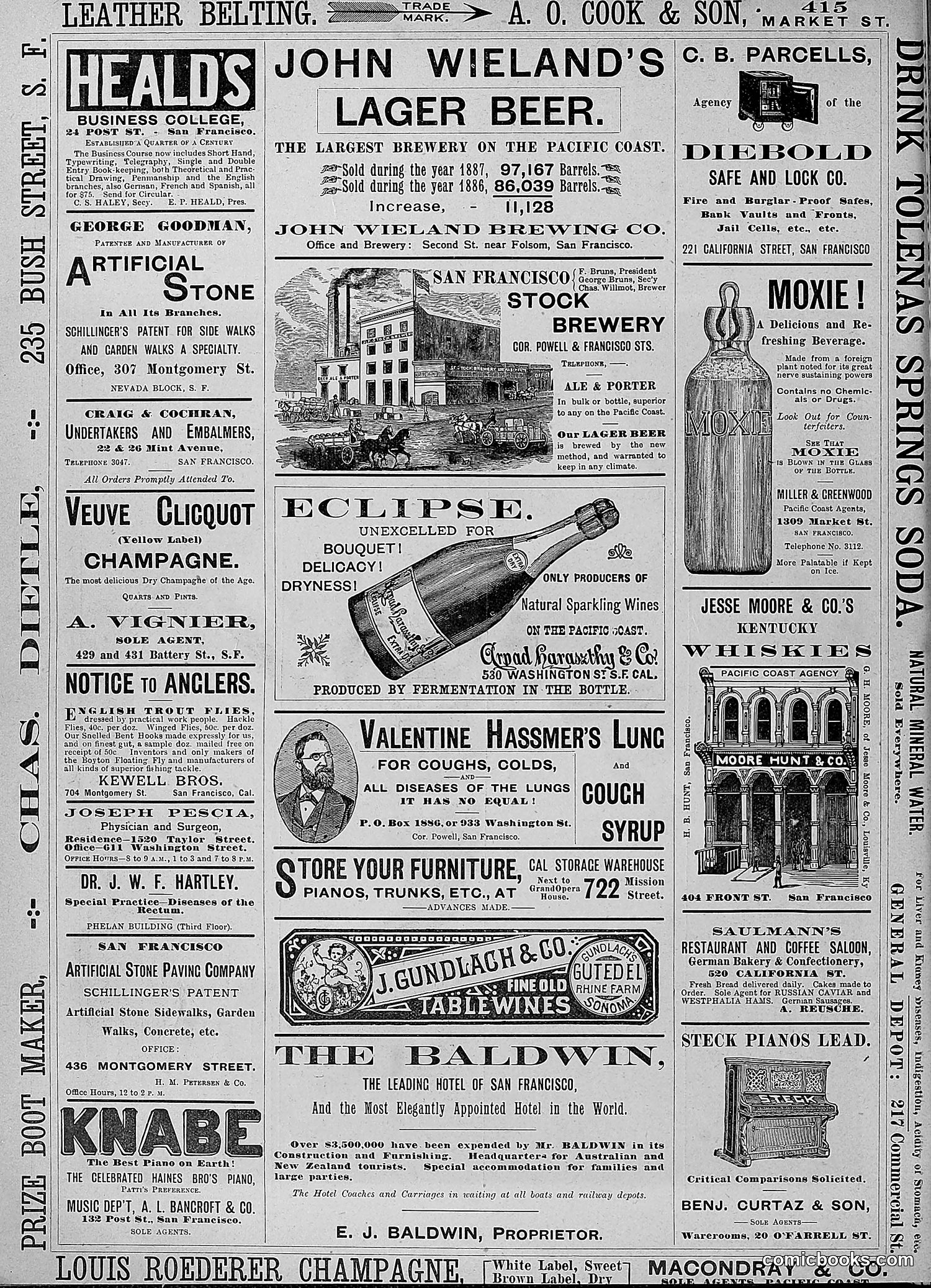 The Wasp — 1888 — page 271 of 526