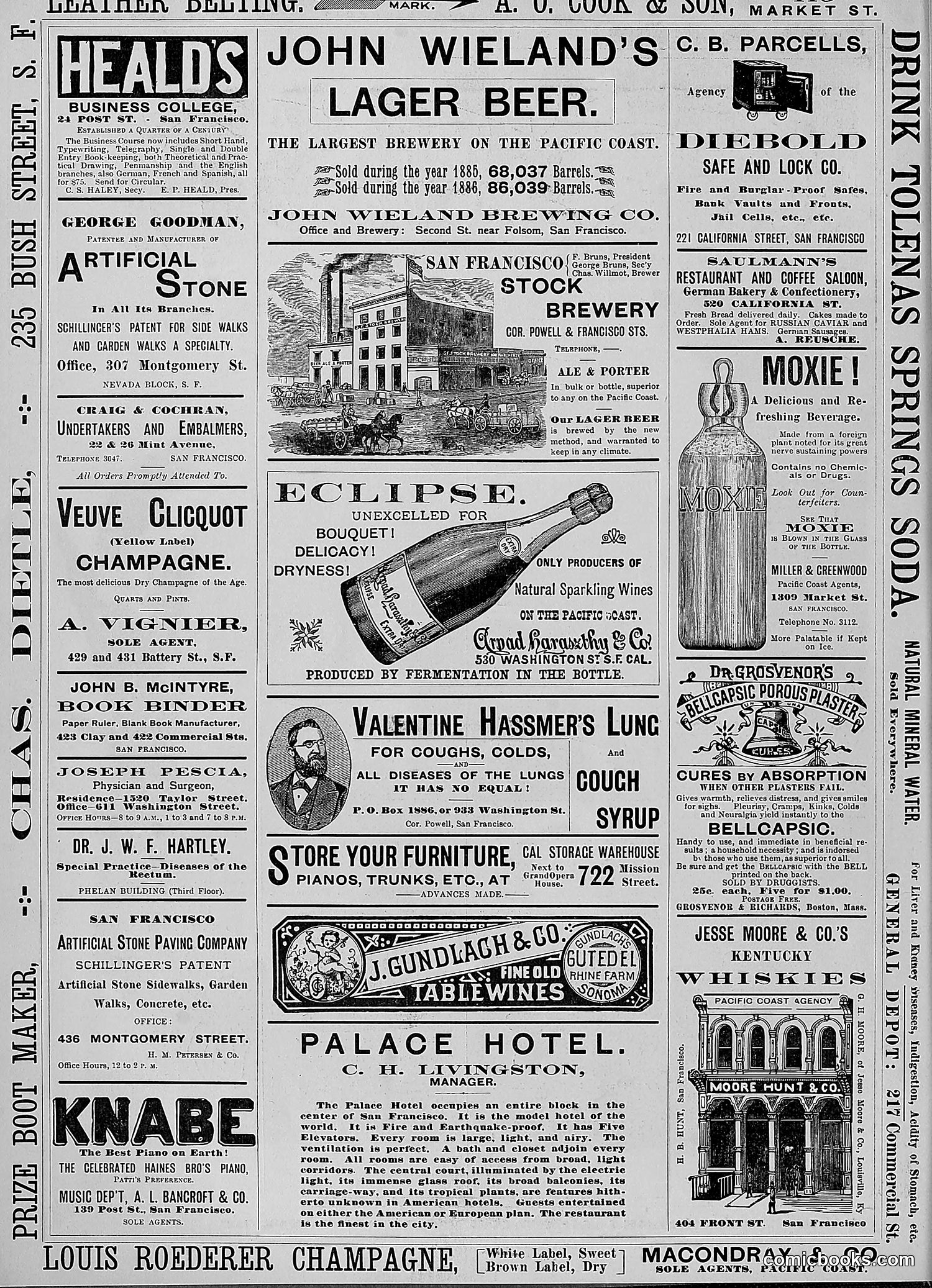 The Wasp — 1888 — page 29 of 526