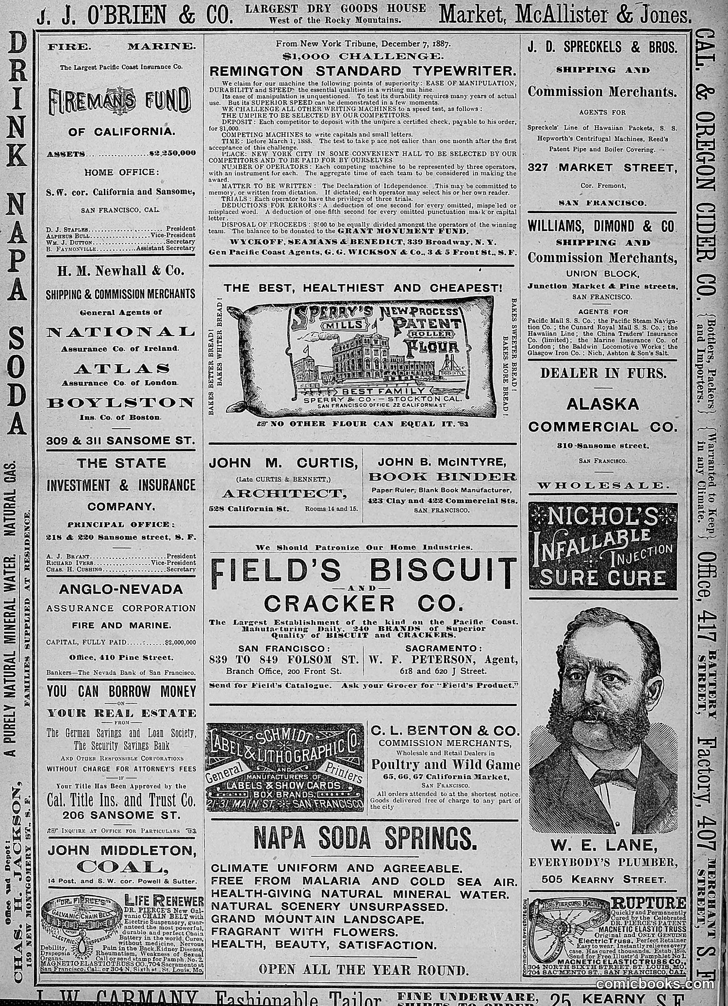 The Wasp — 1888 — page 289 of 526