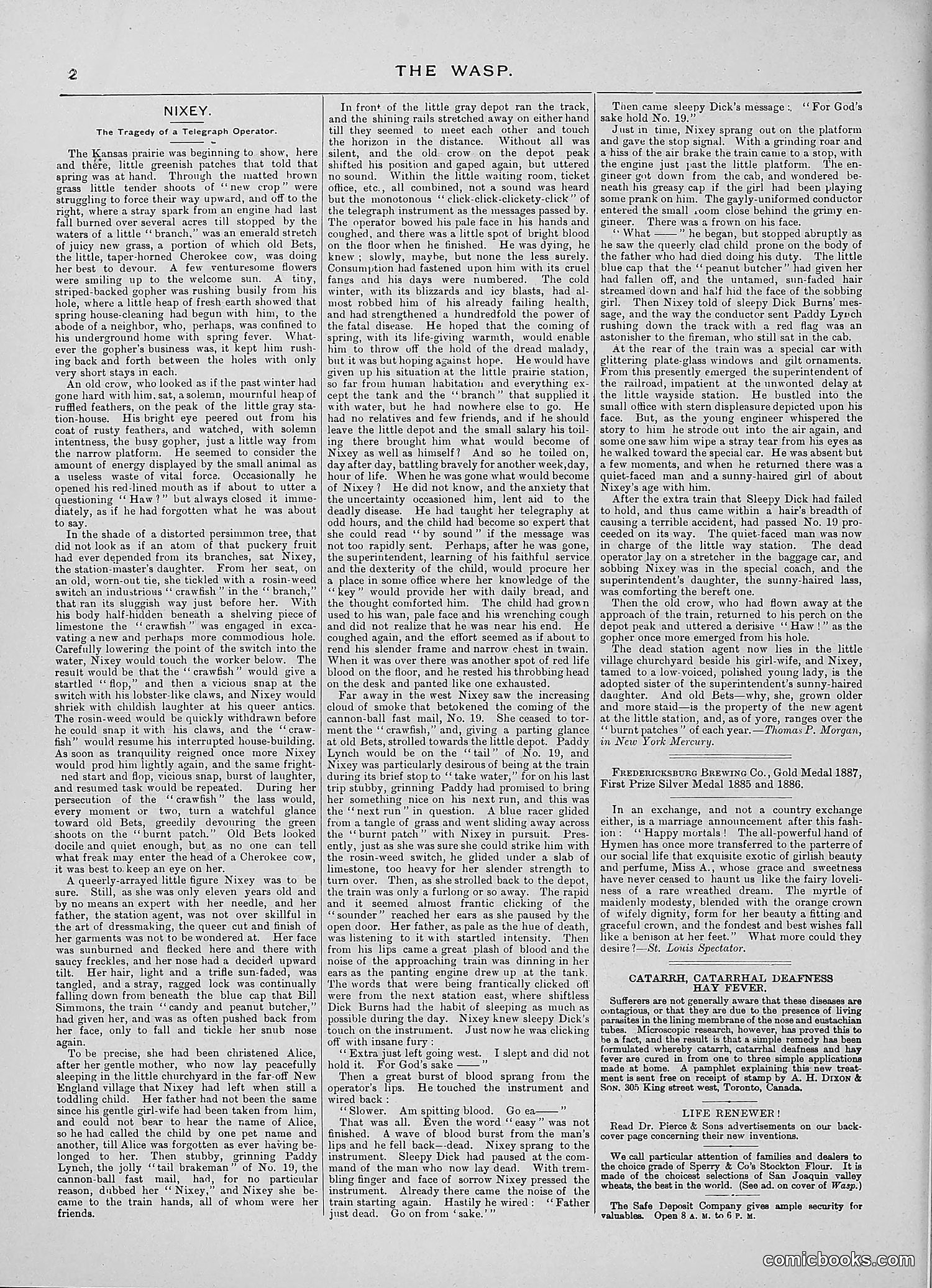 The Wasp — 1888 — page 293 of 526