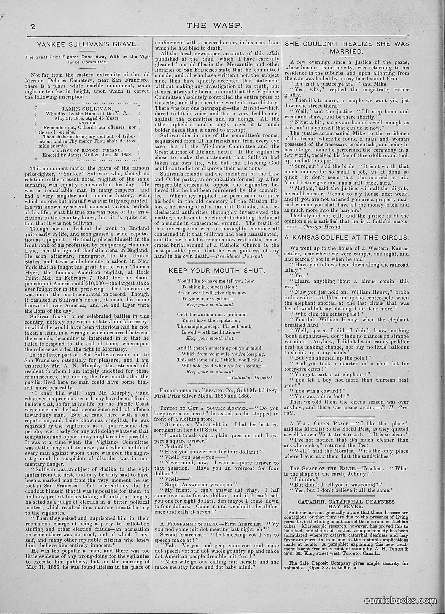 The Wasp — 1888 — page 31 of 526