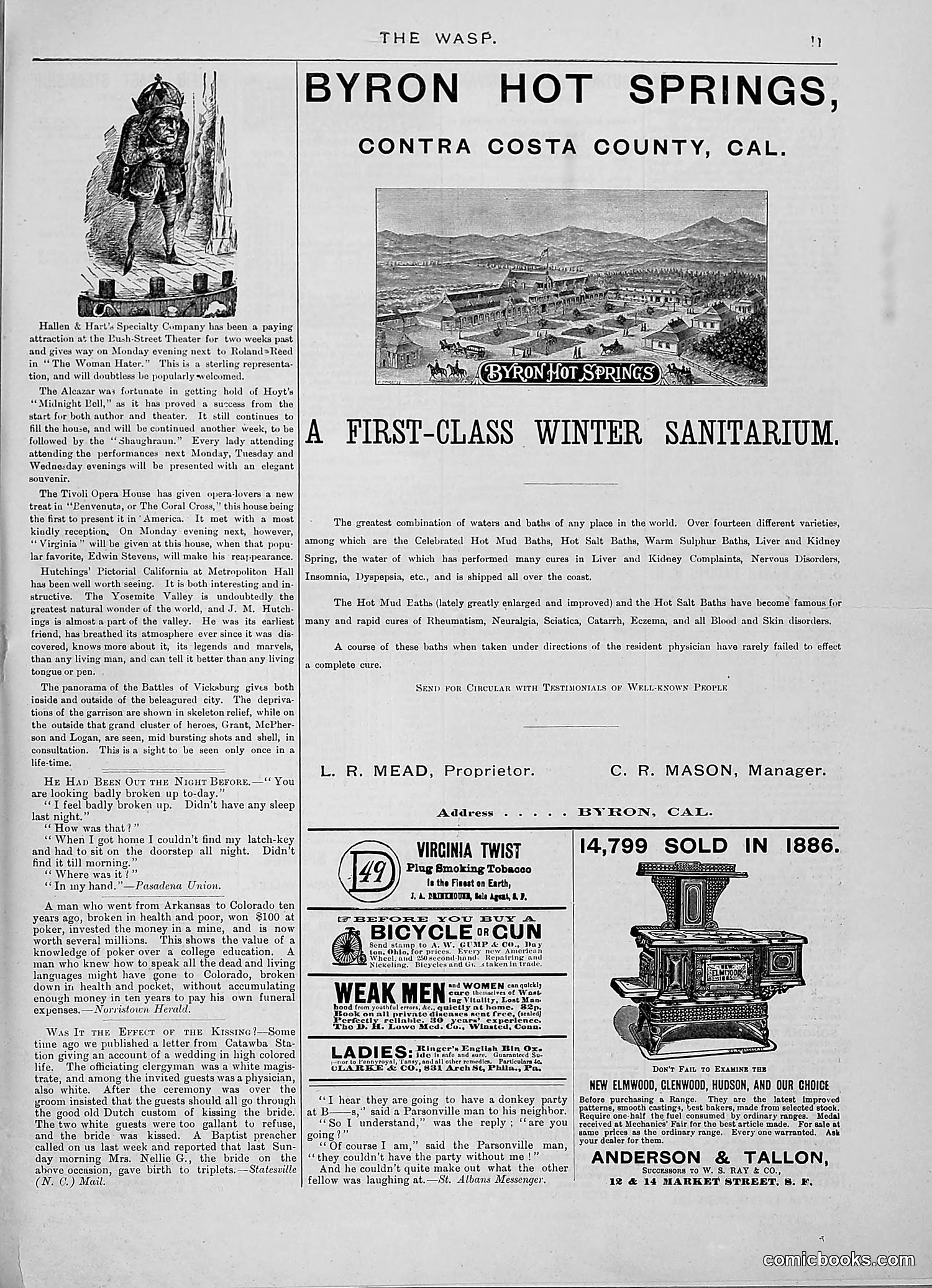 The Wasp — 1888 — page 302 of 526