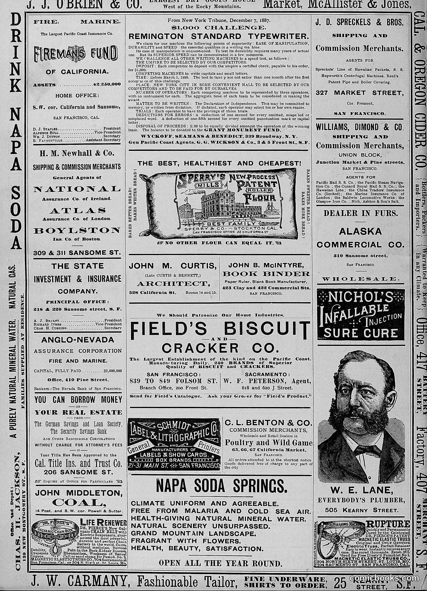 The Wasp — 1888 — page 309 of 526