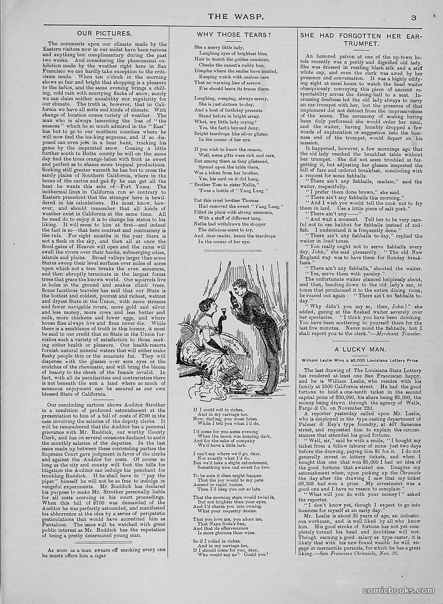 The Wasp — 1888 — page 32 of 526