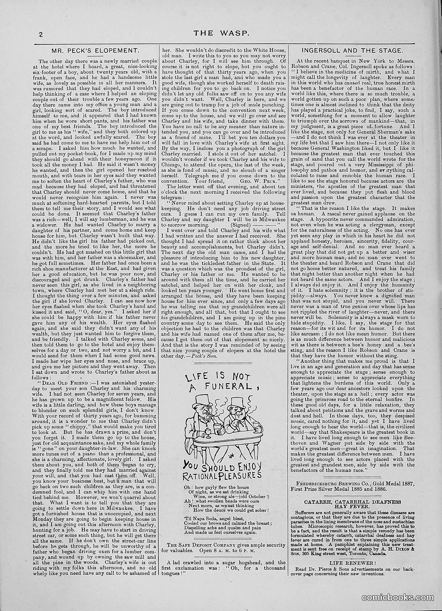 The Wasp — 1888 — page 313 of 526