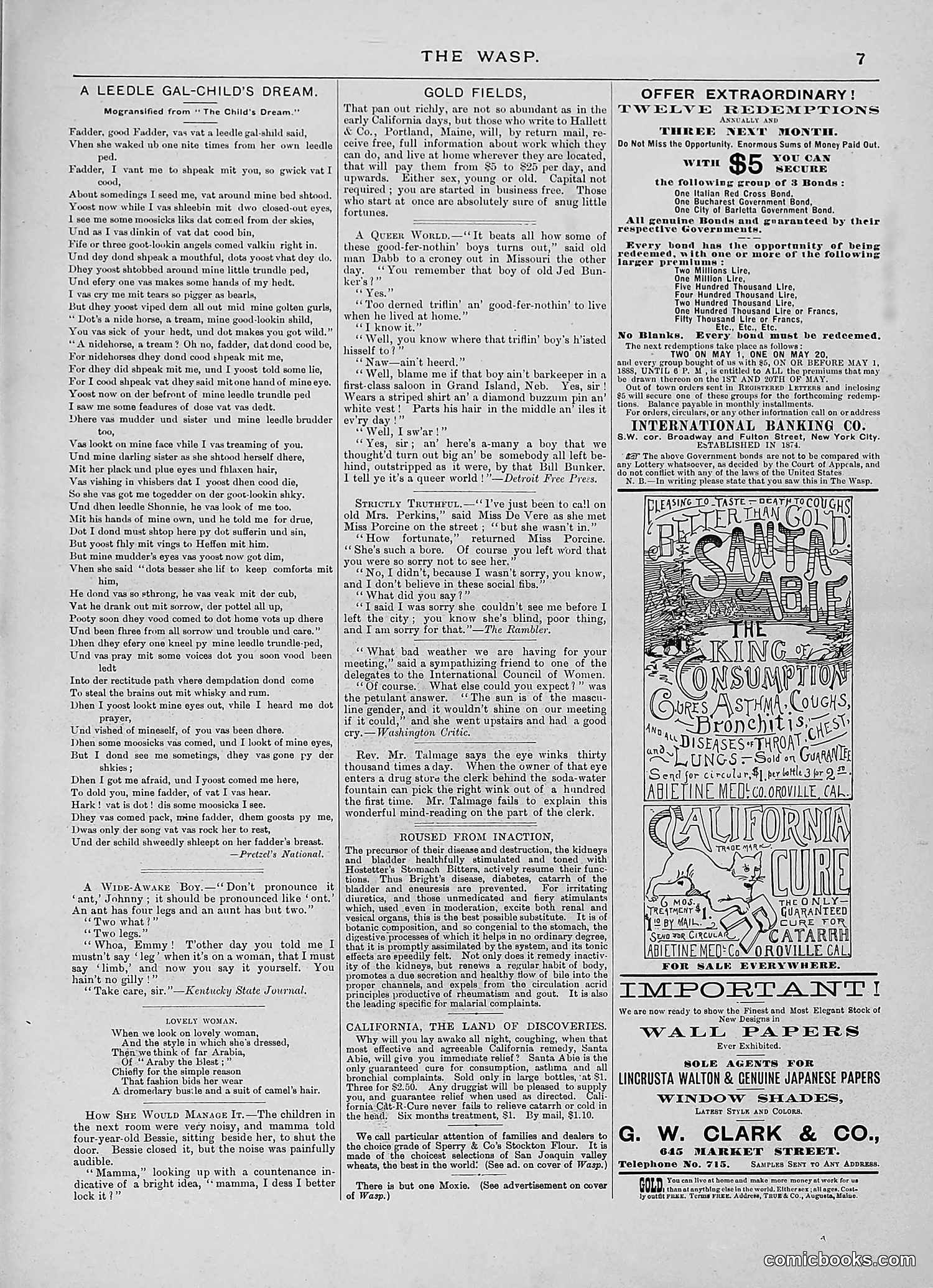 The Wasp — 1888 — page 318 of 526